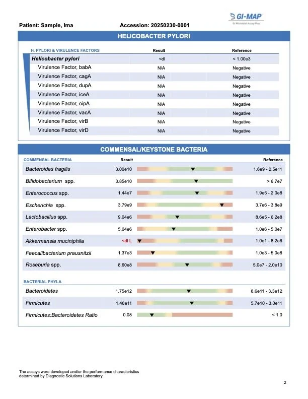 gi-map-sample-report5.jpg