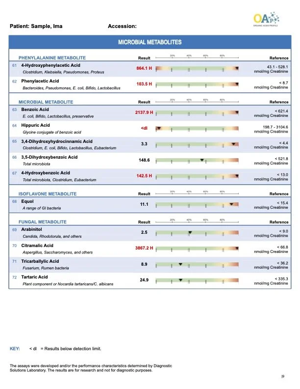 organic-acids-profile-urine-sample-report9.jpg