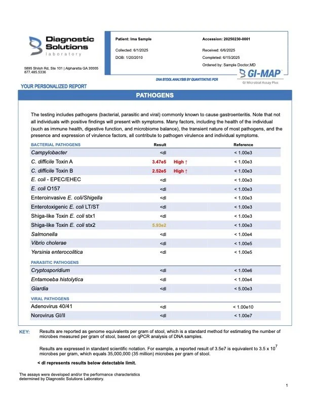 gi-map-sample-report.jpg