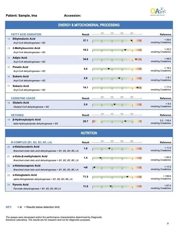 organic-acids-profile-urine-sample-report5.jpg