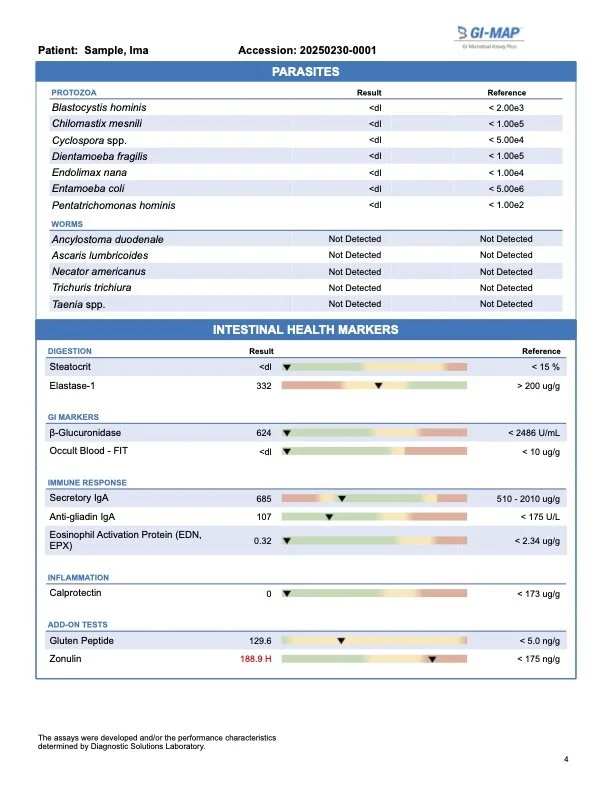 gi-map-sample-report3.jpg