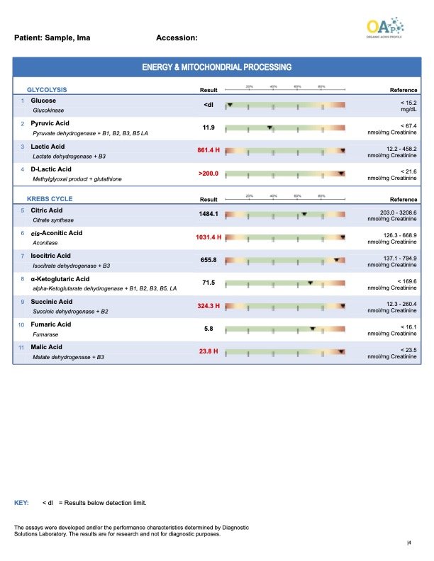 organic-acids-profile-urine-sample-report4.jpg