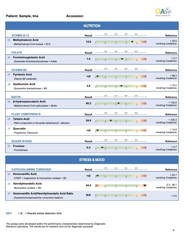 organic-acids-profile-urine-sample-report6.jpg