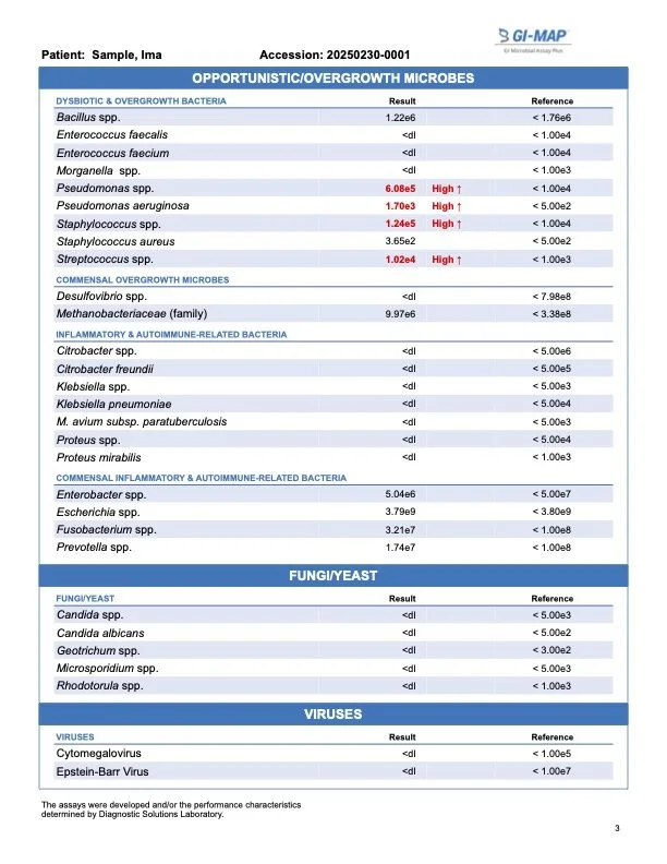 gi-map-sample-report2.jpg