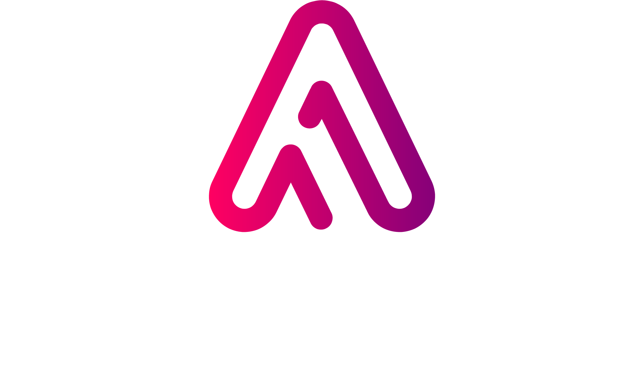 what is fractional CMO