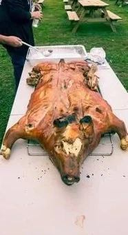 FF10+pig.jpg