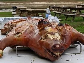 FF10 smiling pig.jpg