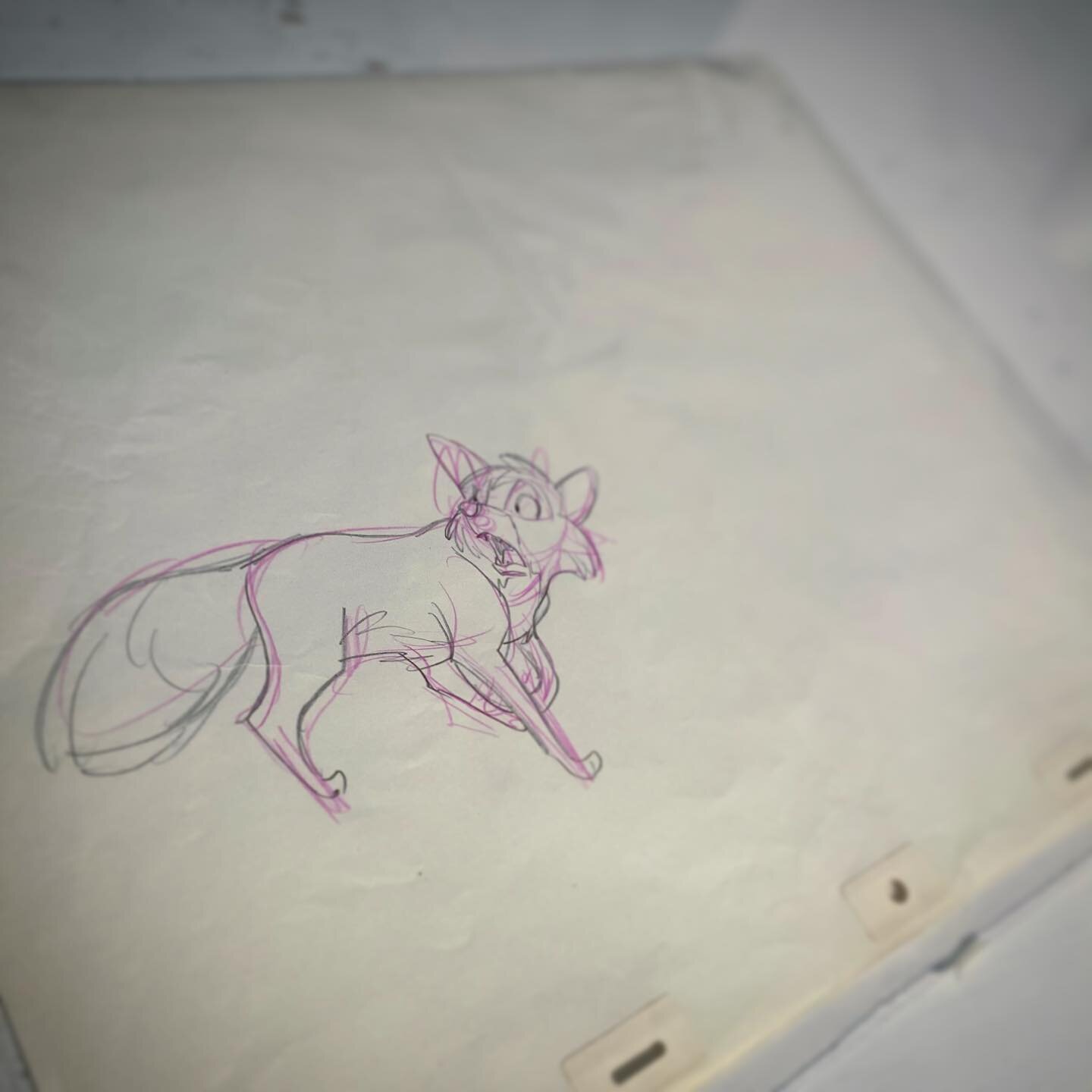 Just received a rough animation drawing by John Pomeroy, from one of my favorite childhood movies, The Fox and the Hound.