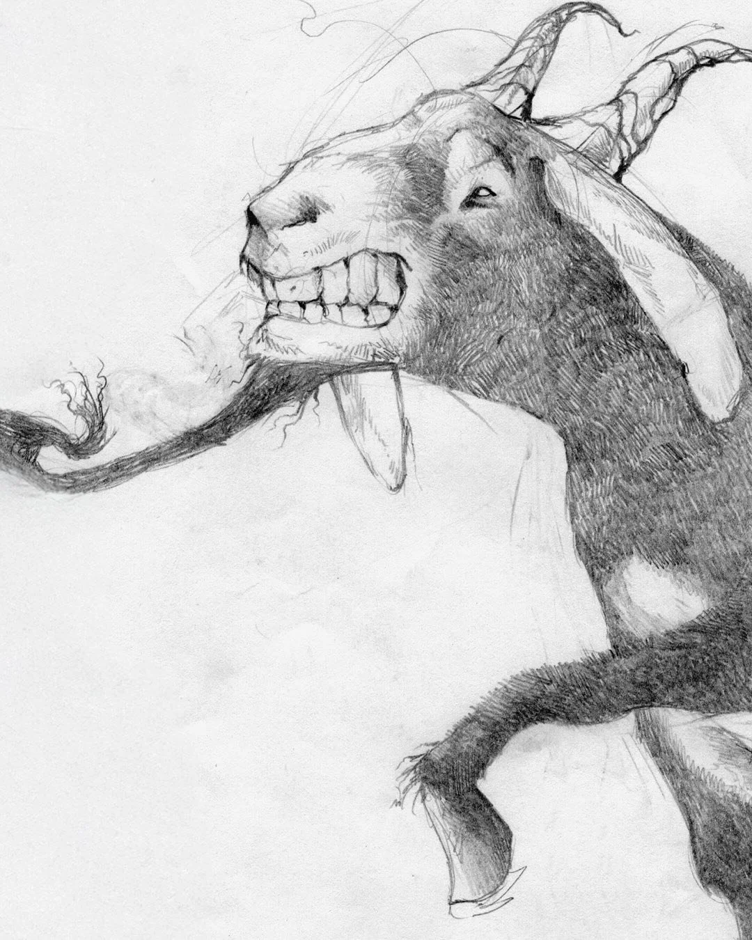 Part 2 of&hellip;Milton the Goat! Always fun to draw animals and attempt to give them personalities.