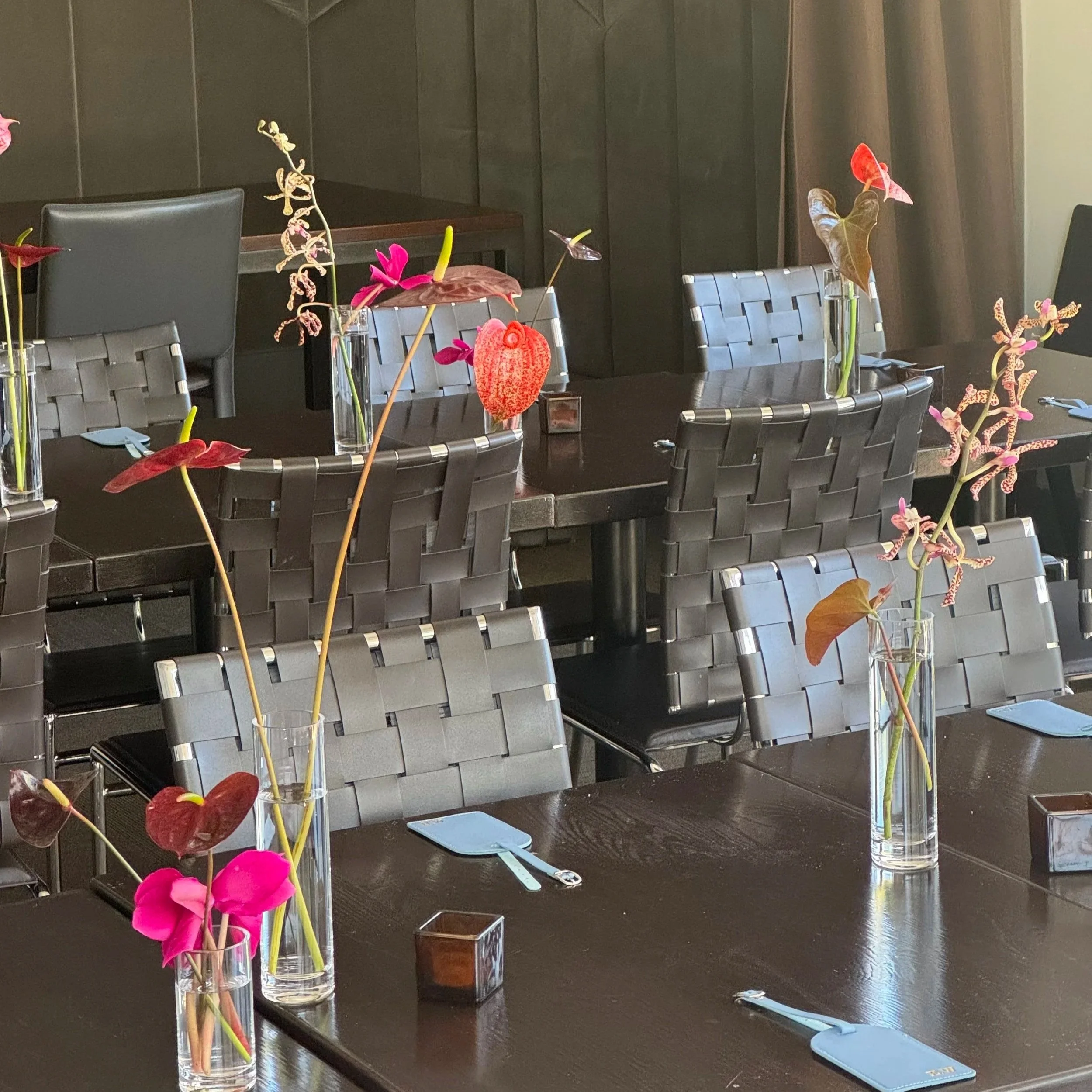 LAYOVER: savannah // soho south