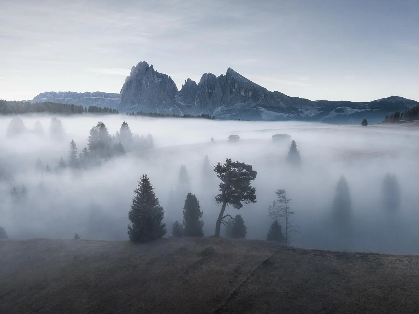 Alpe di Foggy
🇳🇱 De eerste week van mijn fotoreis zit er bijna op. Vanochtend was misschien wel mijn mooiste ochtend tot nu toe. Mist over Alpe di Siusi. Een geweldige sprookjesachtige sfeer. Gefotografeerd met de DJI Mini 5 Pro, mijn nieuwe verjaa