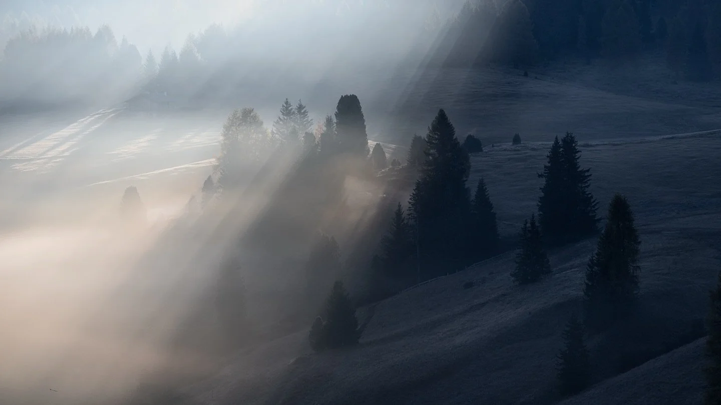 Between Light and Shadow
🇳🇱Zachte zonnestralen breken door de mist en verlichten het dal. De bomen staan deels in licht, deels in schaduw. Net als in de natuur zijn er in het leven momenten van licht en momenten van donker.
Zoals het landschap, vin