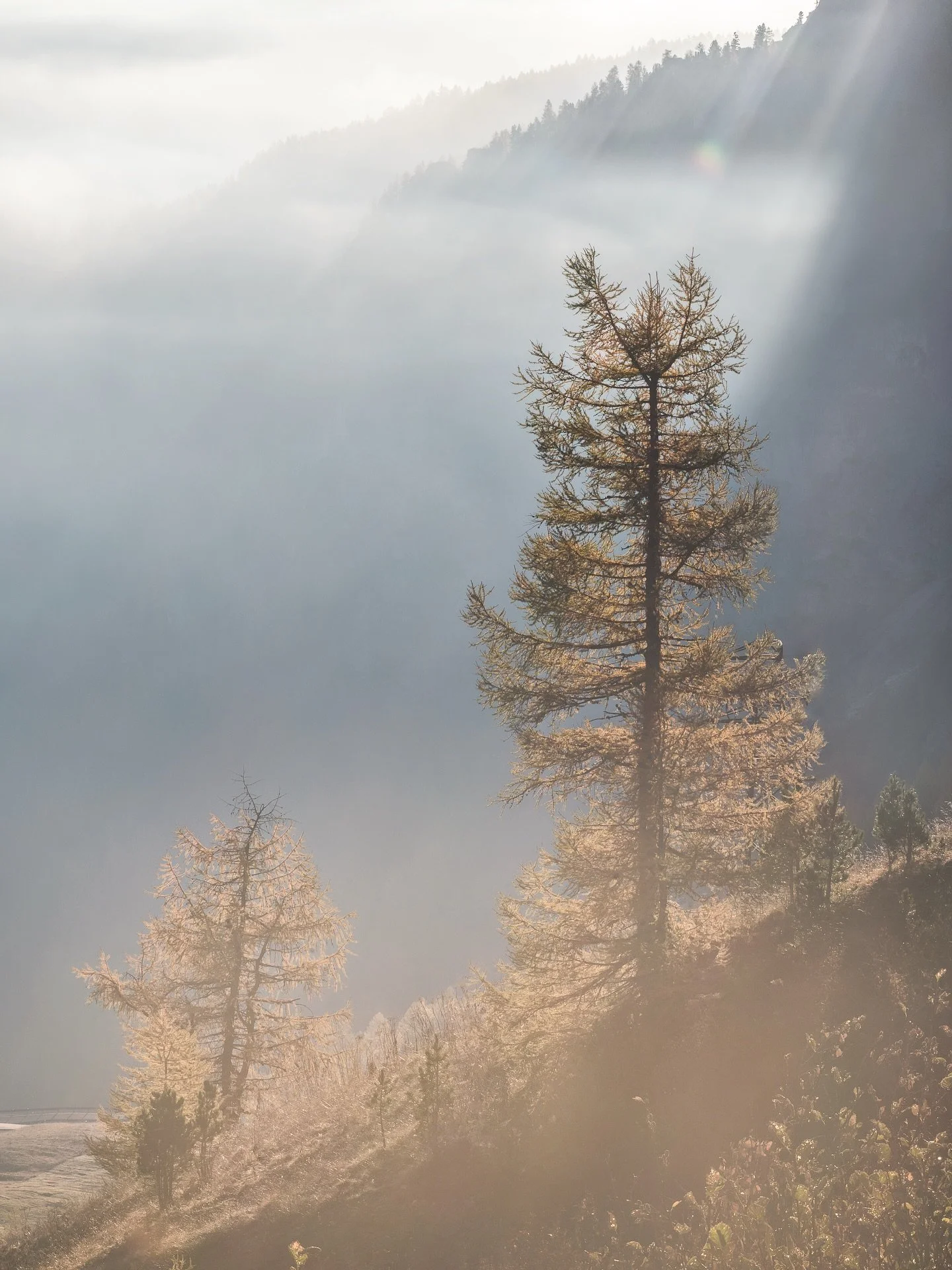🇳🇱 De stilte vond mij nog v&oacute;&oacute;r het licht dat deed. In dat moment voelde de wereld tegelijk groot en dichtbij.

🇬🇧 Stillness found me before the light did.
In that quiet space, the world felt wide and close at once.

For magical ligh