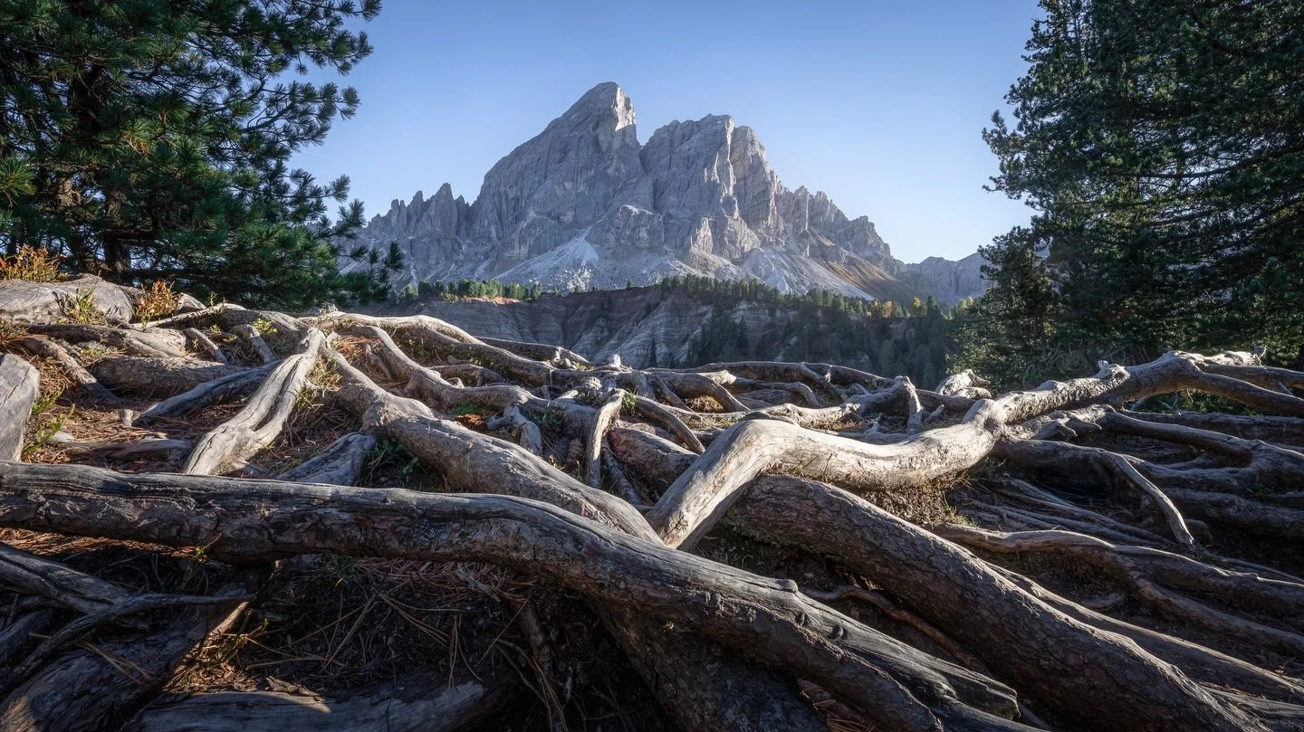 Ancient Roots, Classic View ⛰️

📍 Would you stand here?

ℹ️ Nikon Z8 &bull; Nikon Z 14-24mm f/2.8 S

@nikoneurope @nikonitalia @nikonnl #NikonNL #NikonZ8