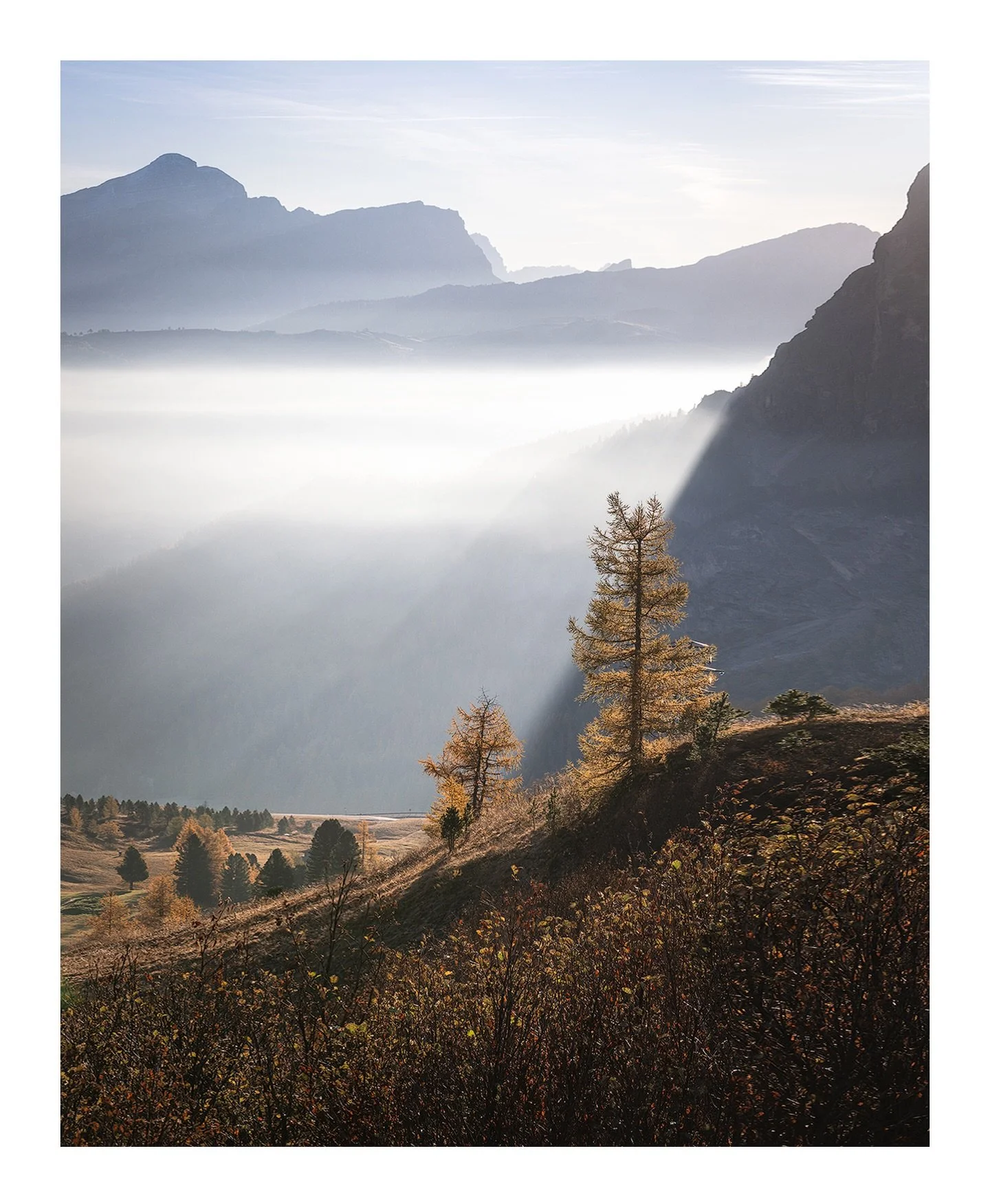In my happy place, lost in the beauty of nature 🌞 

ℹ️ Nikon Z8 &bull; Nikon NIKKOR Z 24-200mm F/4.0-6.3 VR

@nikonnl #NikonNL #dolomiti #italy #italia #landscapephotography @nikonitalia @nikoneurope