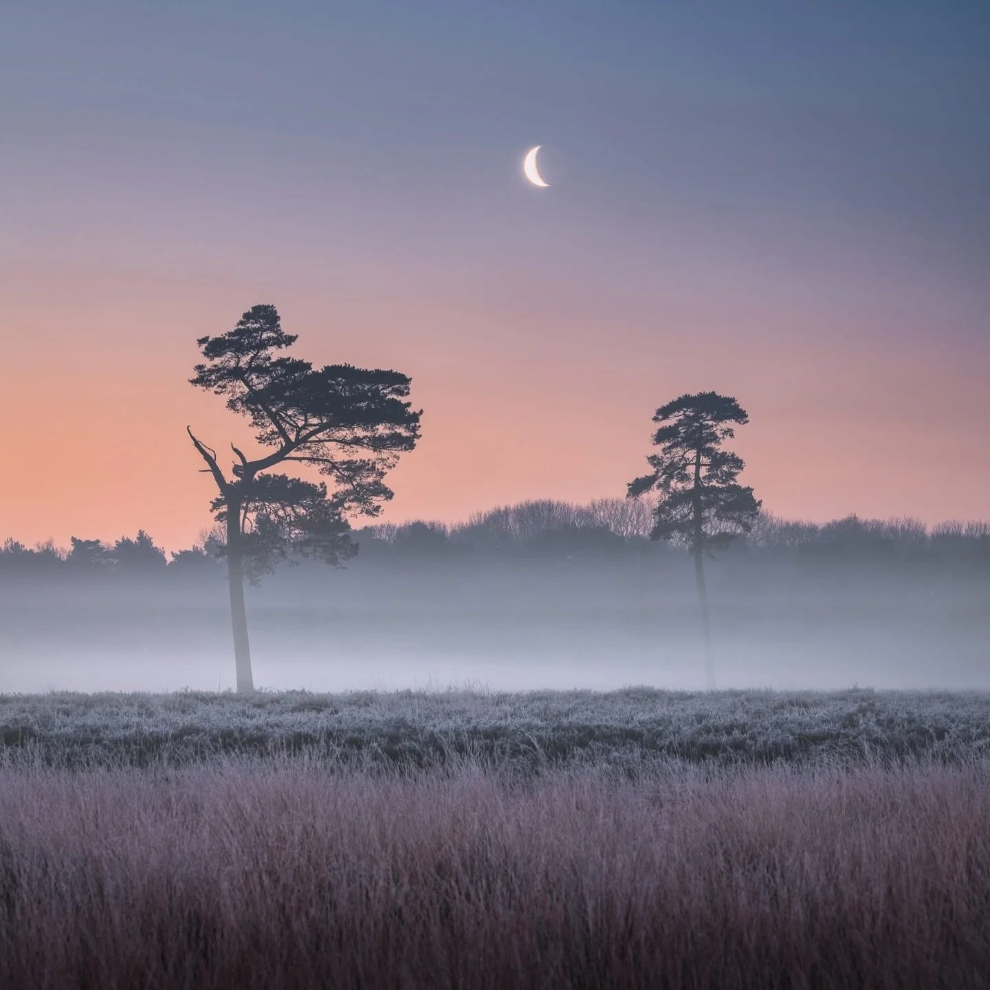 Quiet sunrise in Dutch nature 🌒

ℹ️ Nikon D850 &bull; Nikon AF-S 70-200mm f/2.8E FL ED VR

@nikonnl #NikonNL