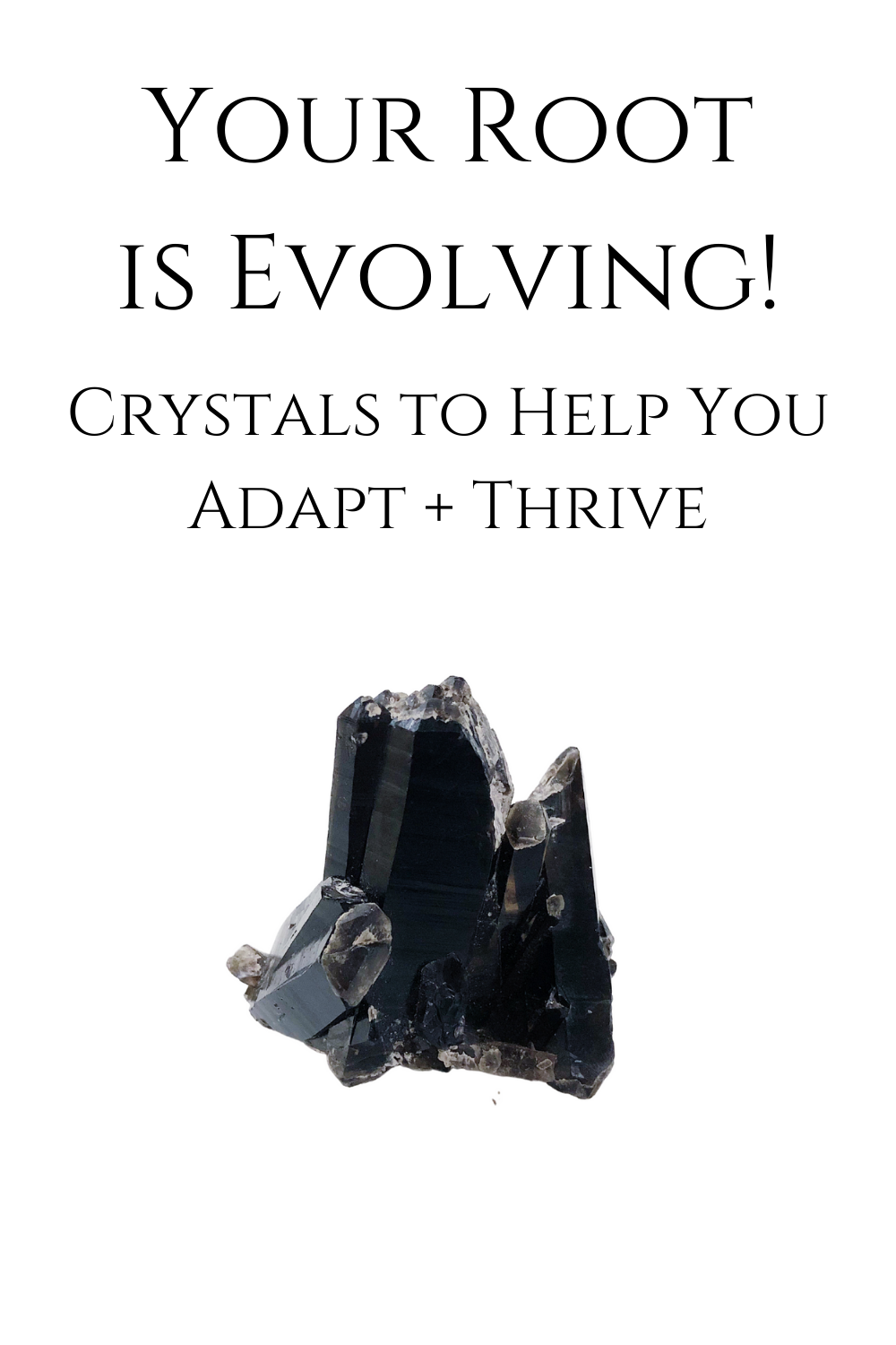 Your Root is Evolving! Crystals to Help You Adapt + Thrive