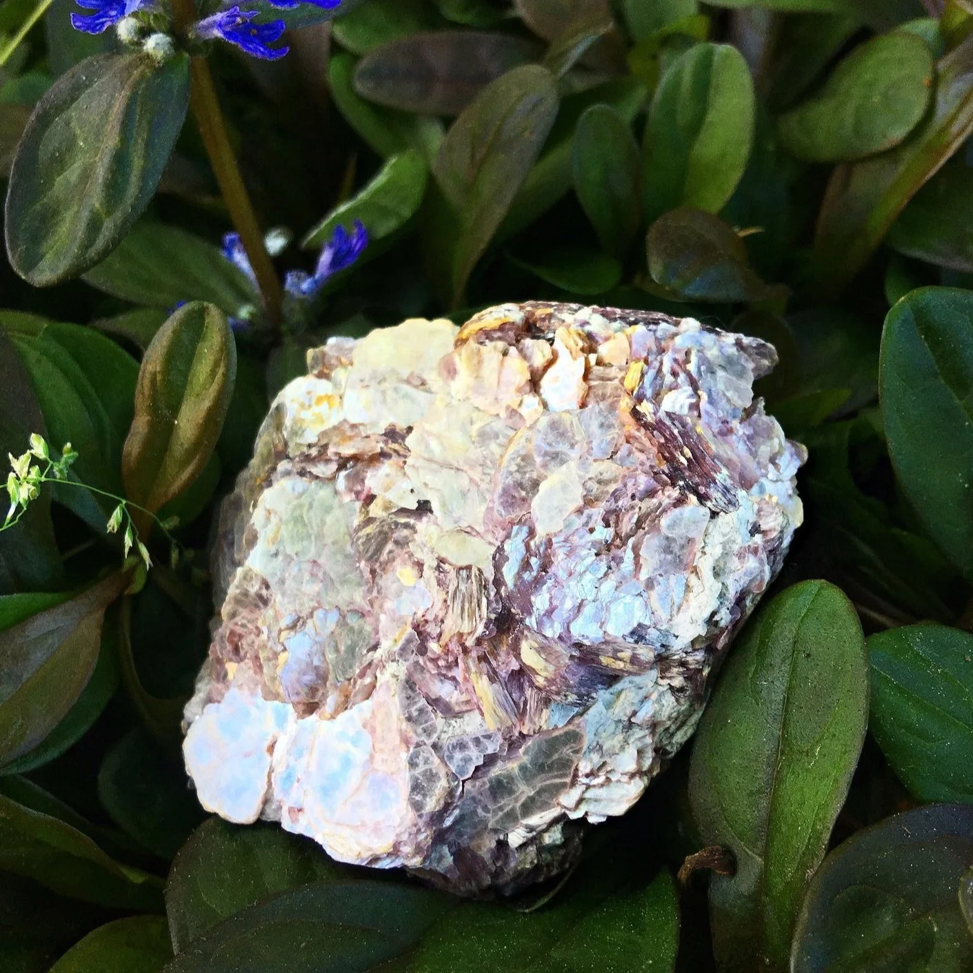 close up of a natural lepidolite rock