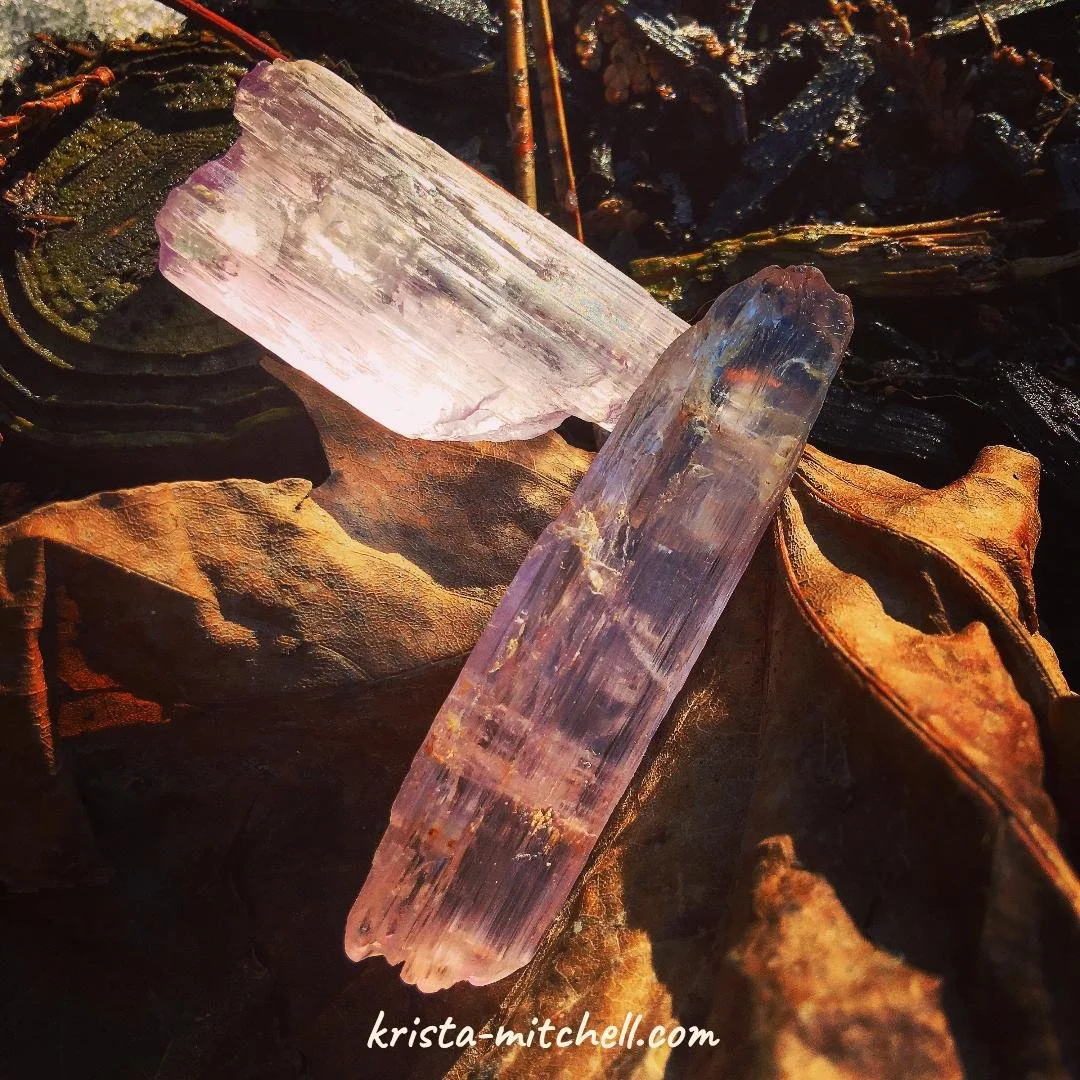 a pair of pink kunzite stones