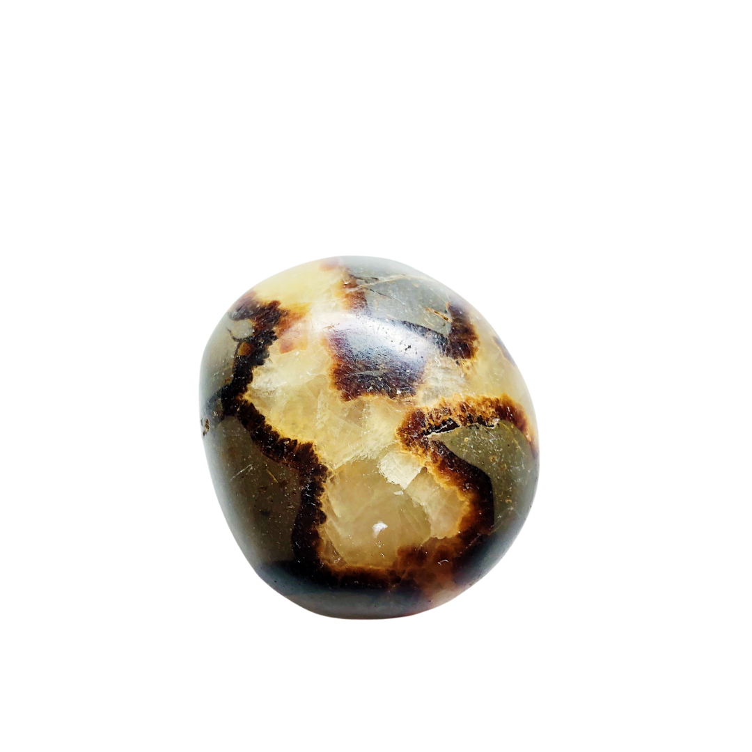a polished piece of septarian with a large vein of yellow calcite lined with brown aragonite