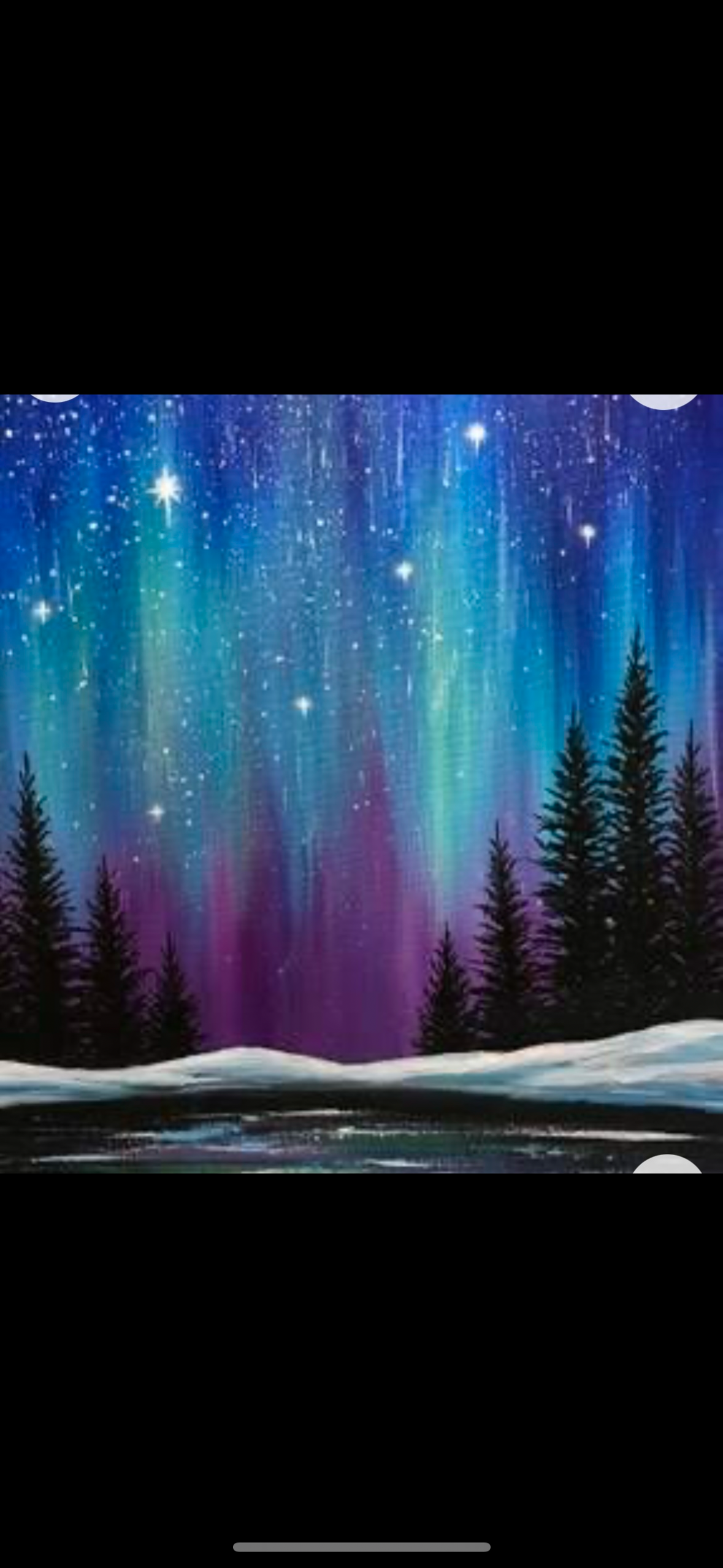 Winter Lights-2/21/2025