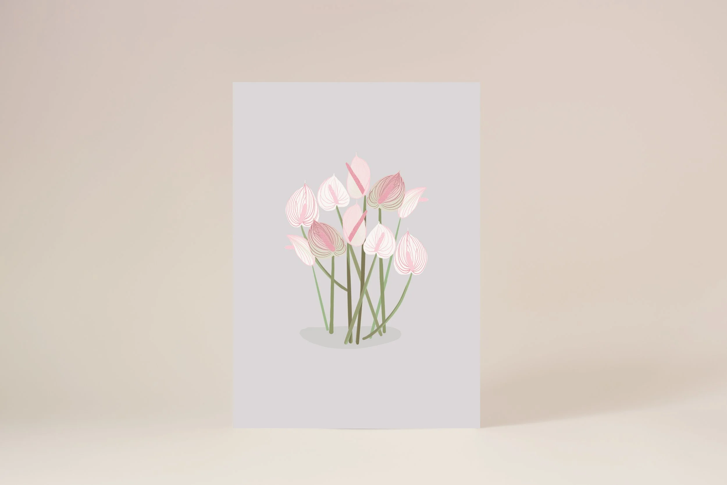 White anthurium