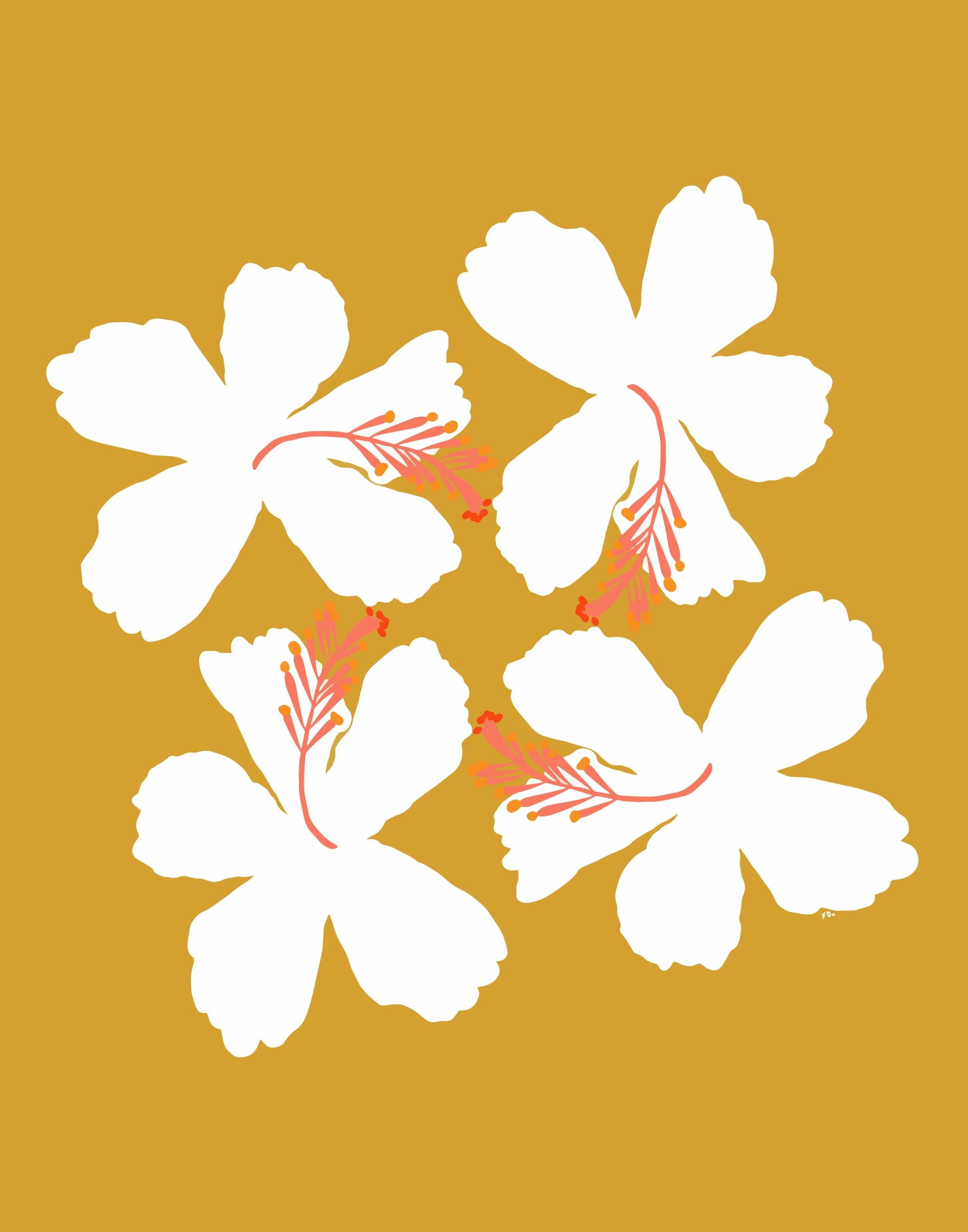 Koki'o ke'o ke'o