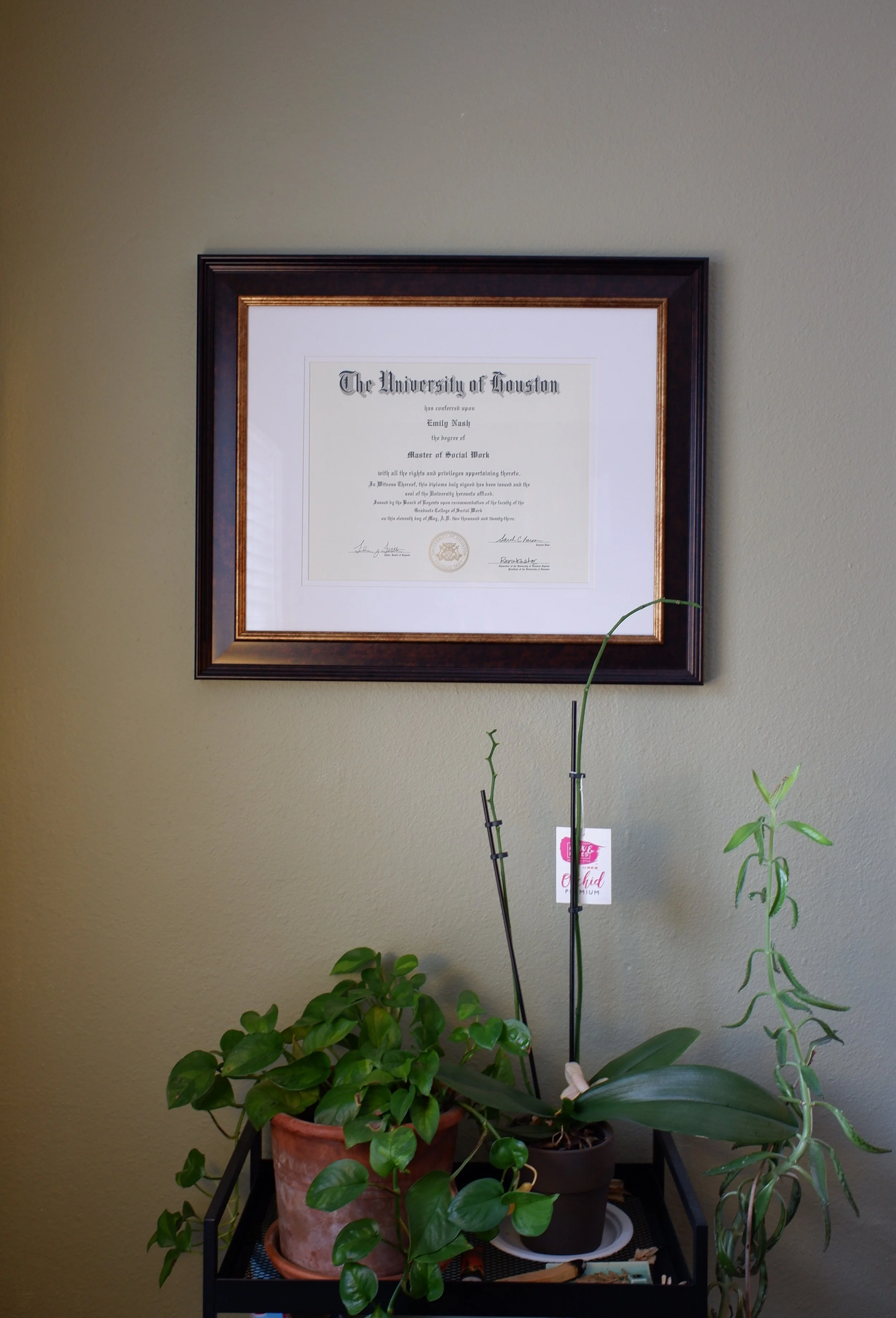 Framed diploma on wall above a table with potted houseplants.