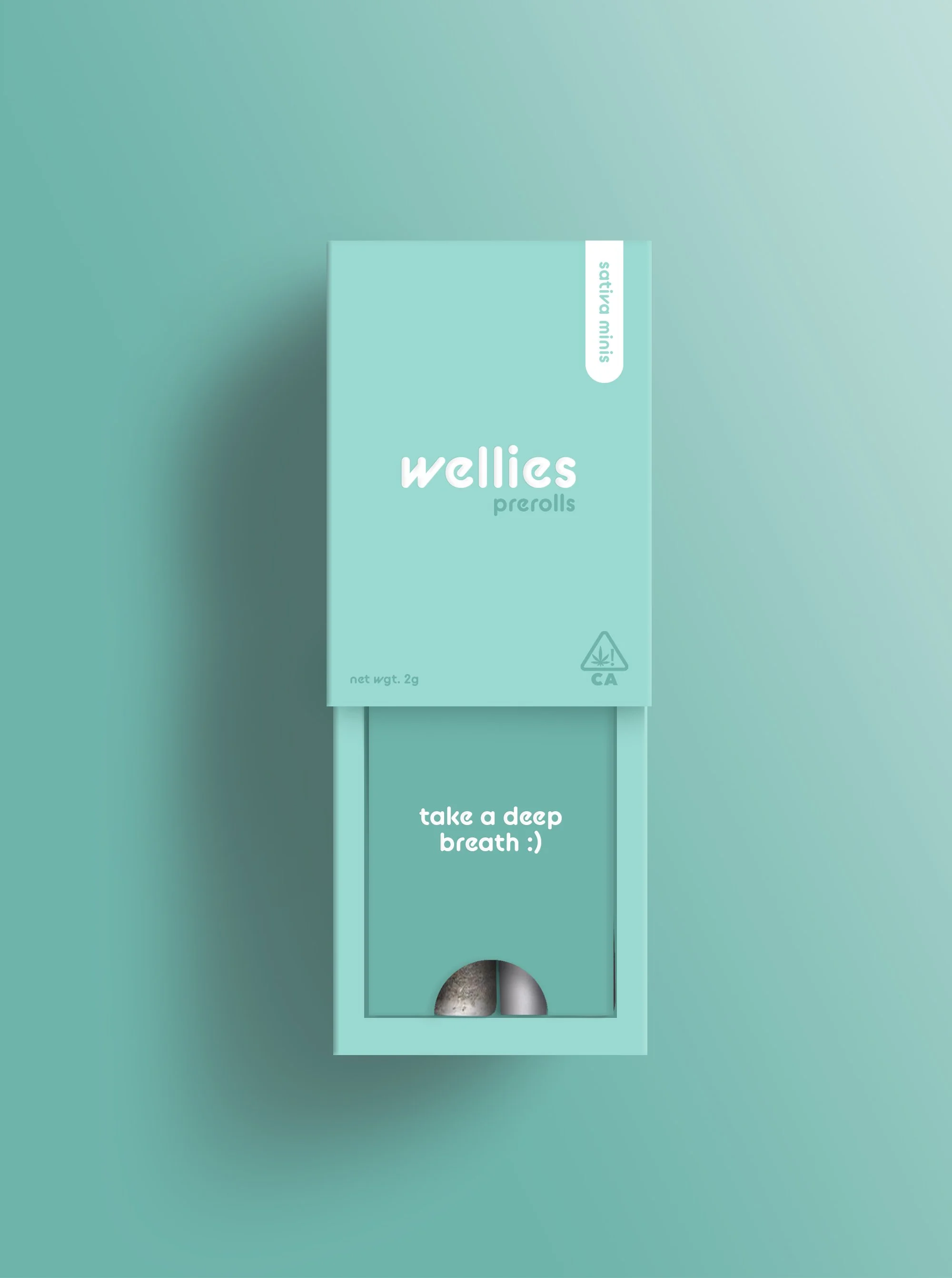 WelliesSlide.jpg