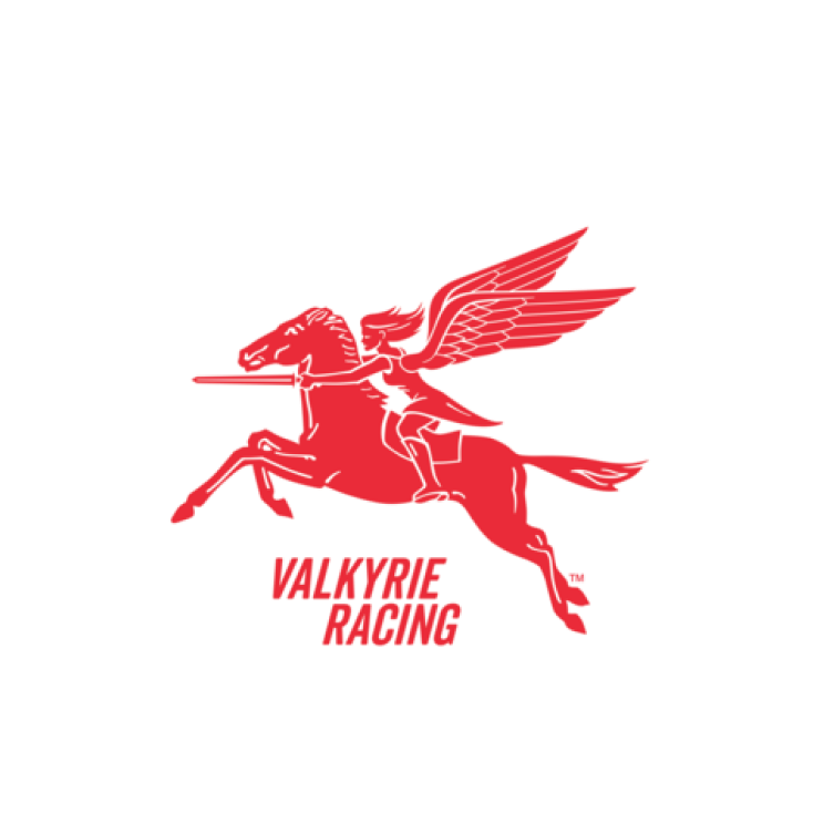 Red silhouette of Pegasus with a rider holding a spear, and the text 'Valkyrie Racing' underneath.