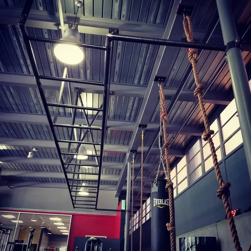 SUSPENDED MONKEY BARS