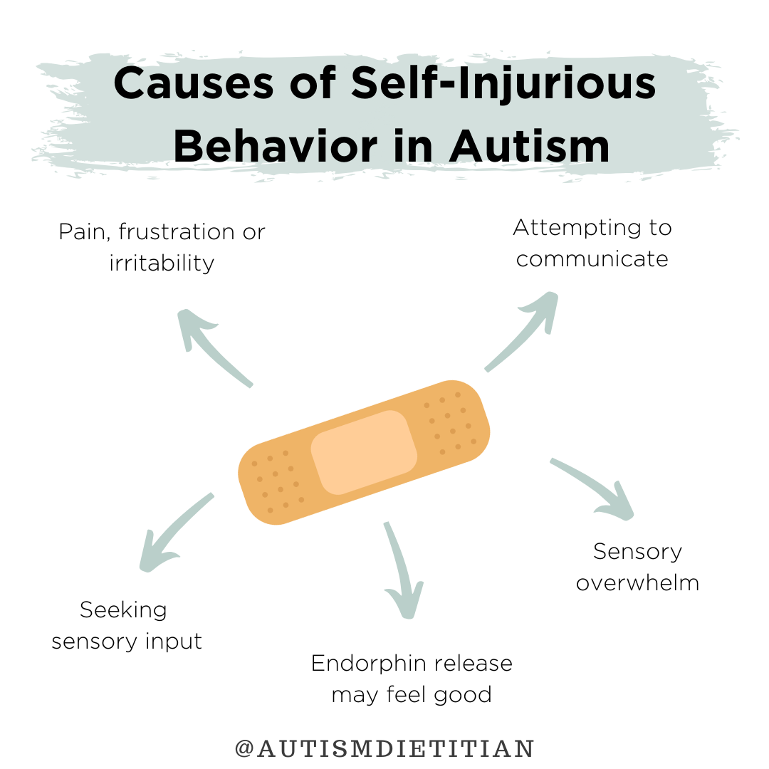 Self-Injurious Behavior | The Nourishing Autism Collective