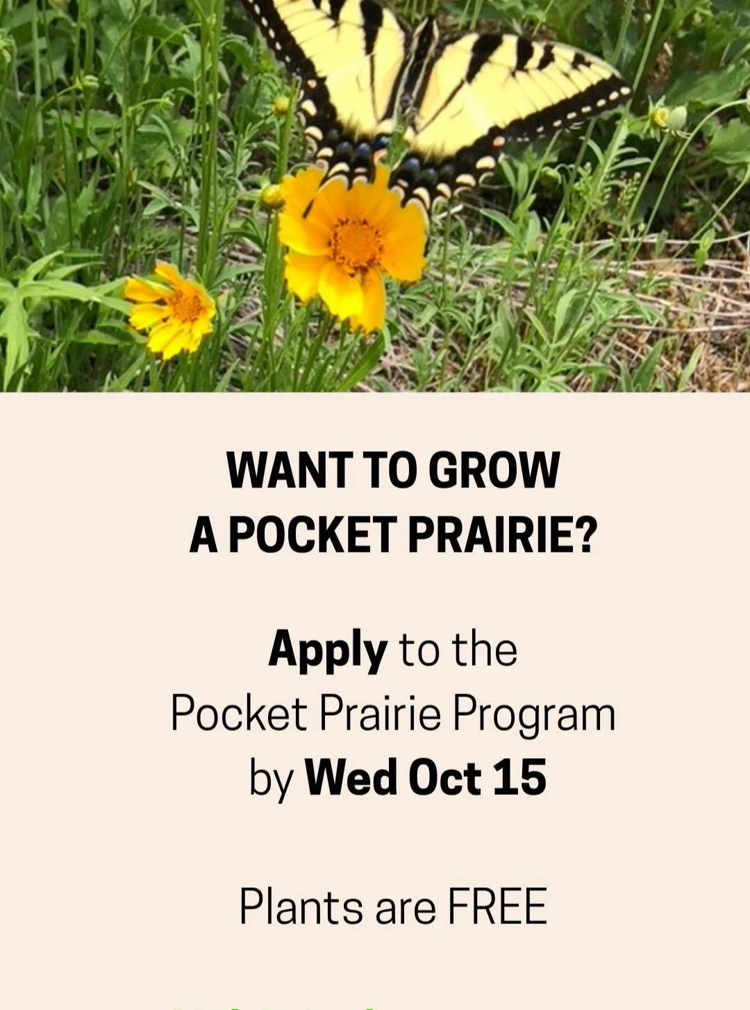 Johnson County, Iowa 
Pocket Prairie Program 
The Johnson County Pocket Prairie Program provides plants, training, information, and technical assistance to guide participants in adding high-value native plants to their yards, creating a 10' by 10' po