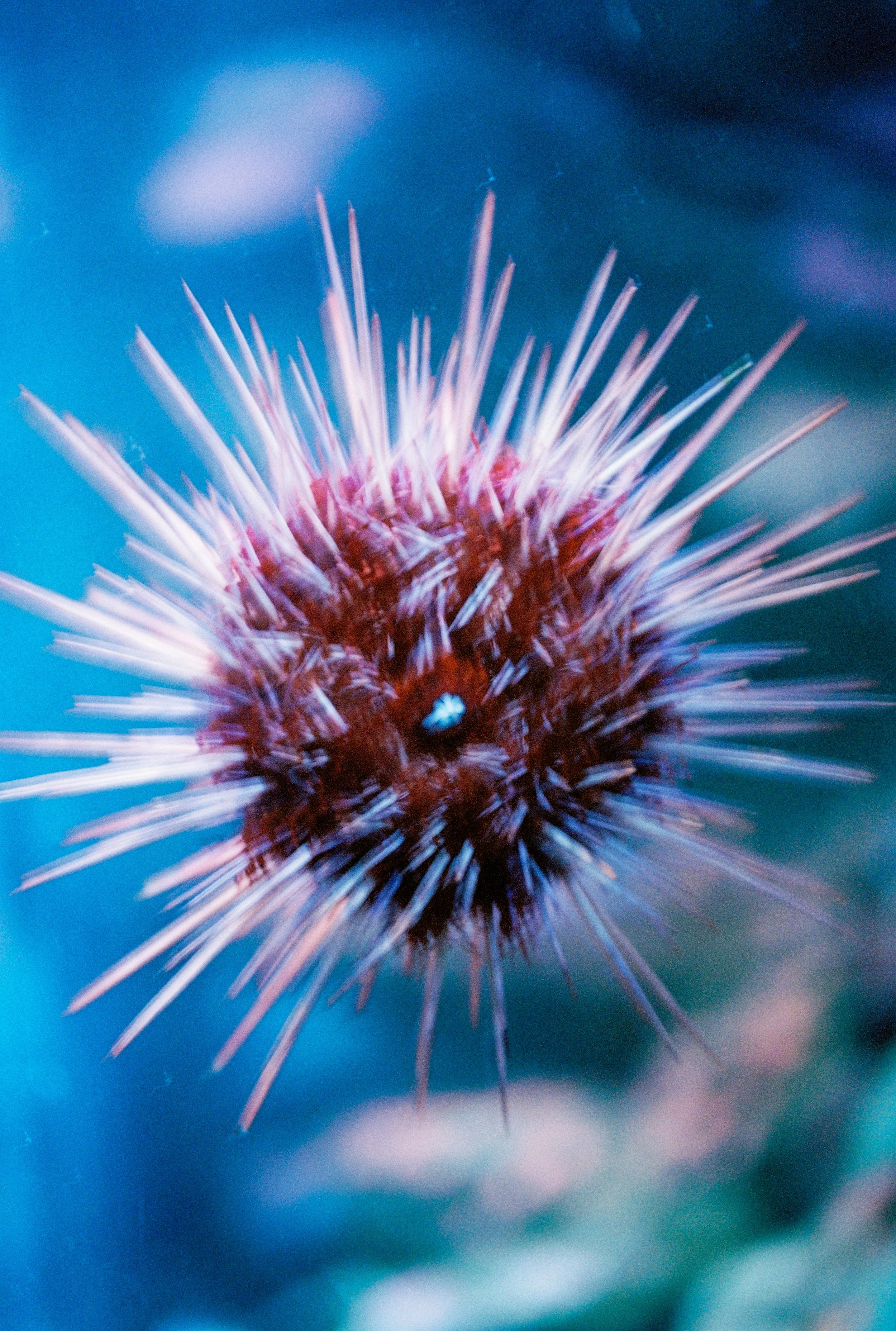 000026-1aquarium_aquarium3.jpg