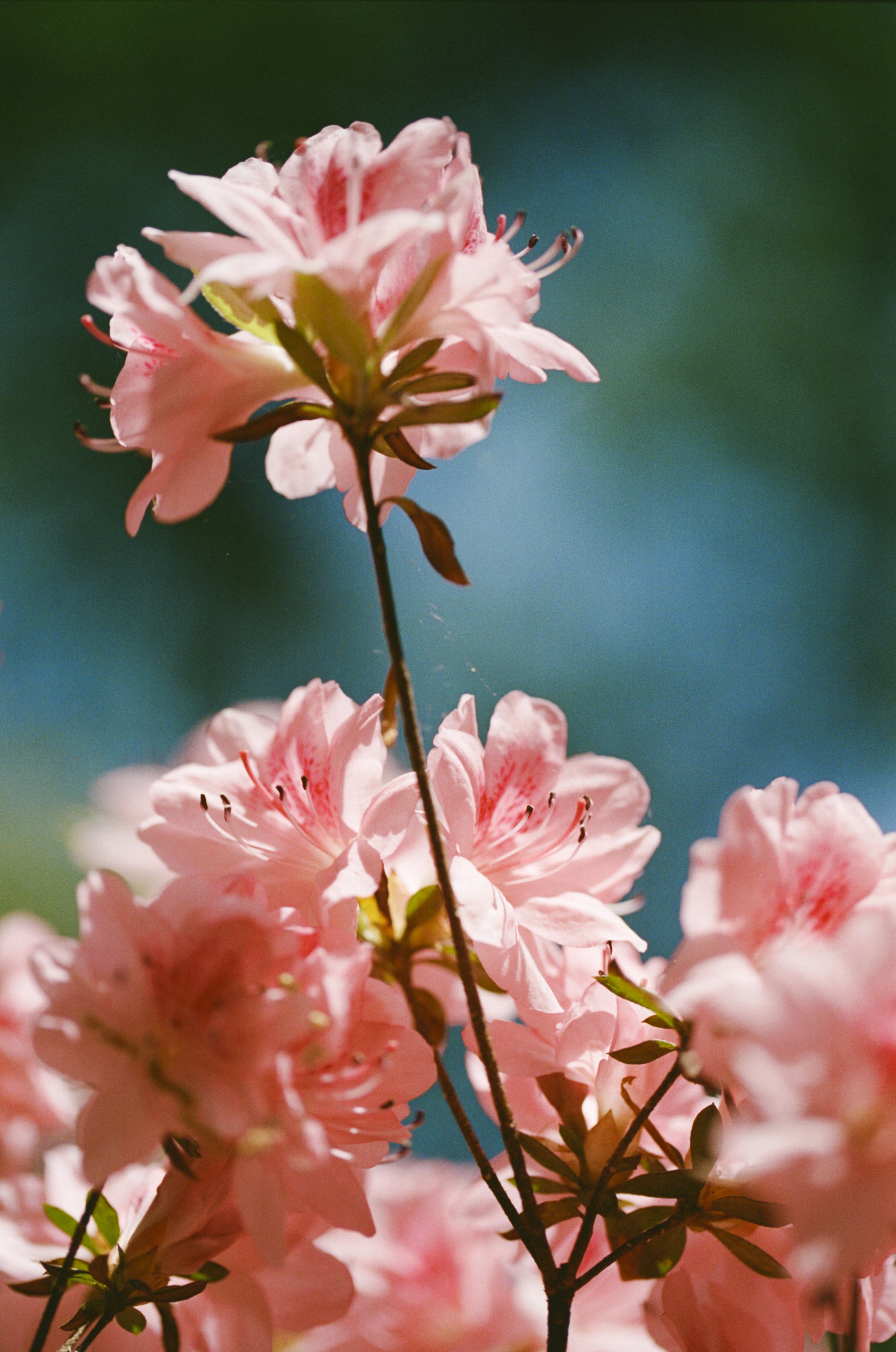103033_JRA_003_19edit.jpg