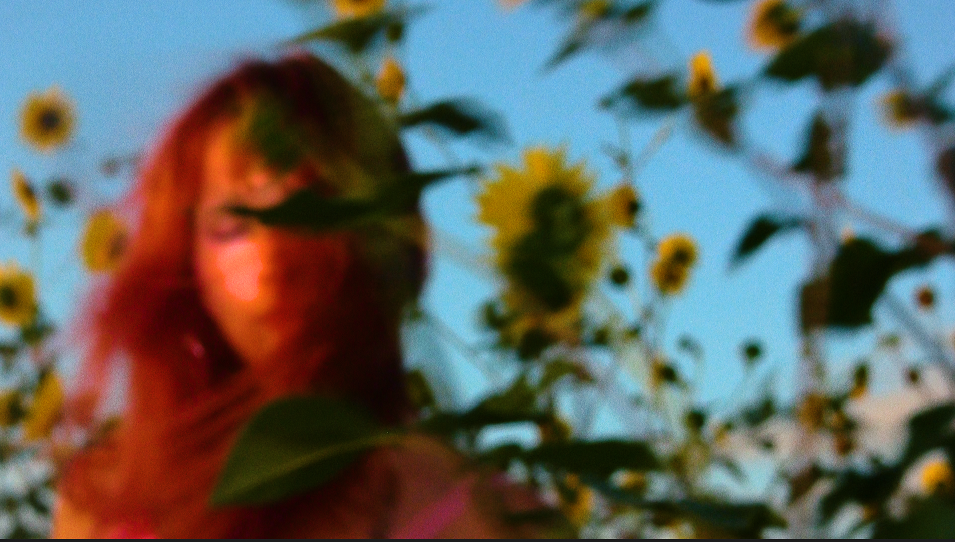luteal pink cover image.png