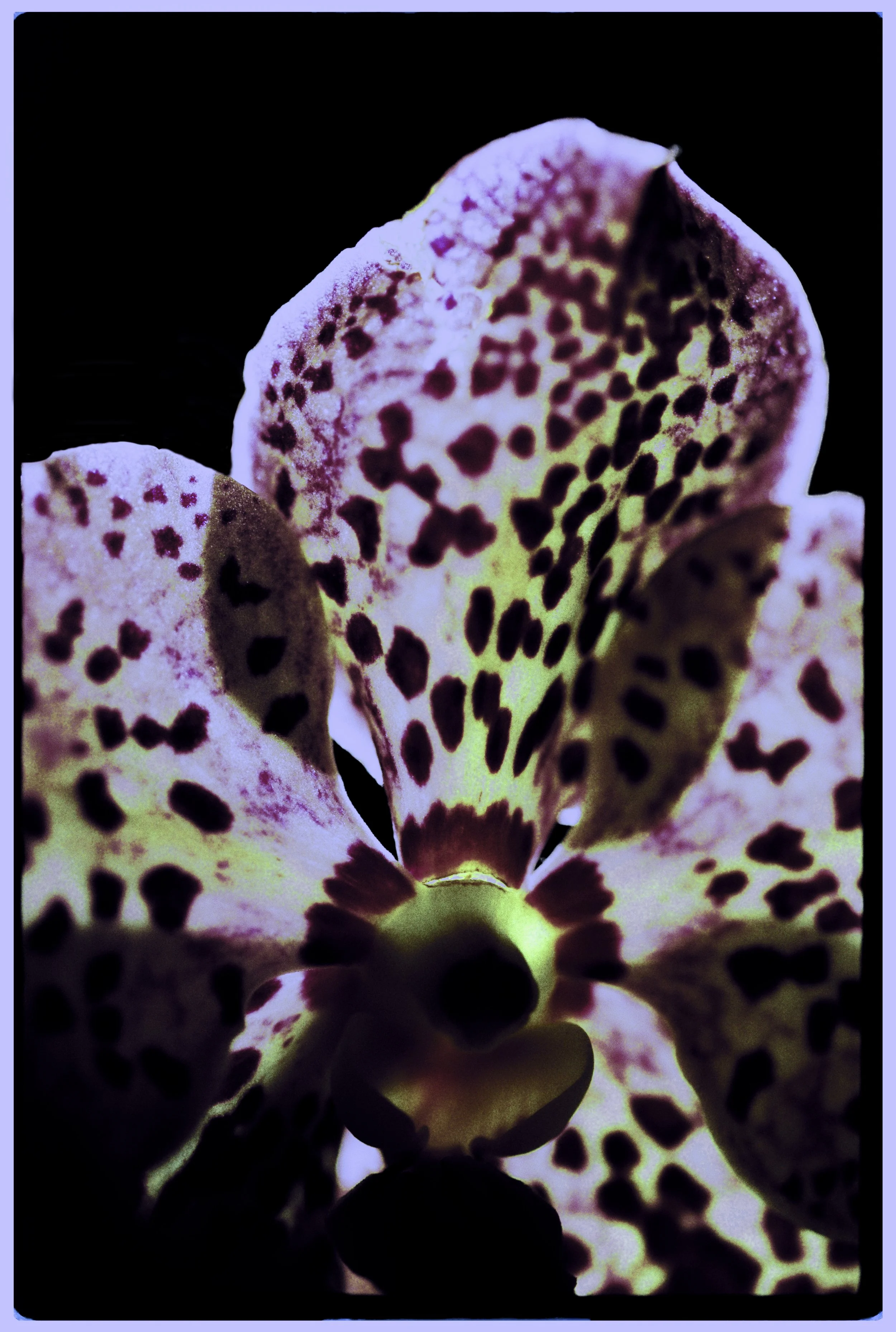 000059 1 experiment2.jpg