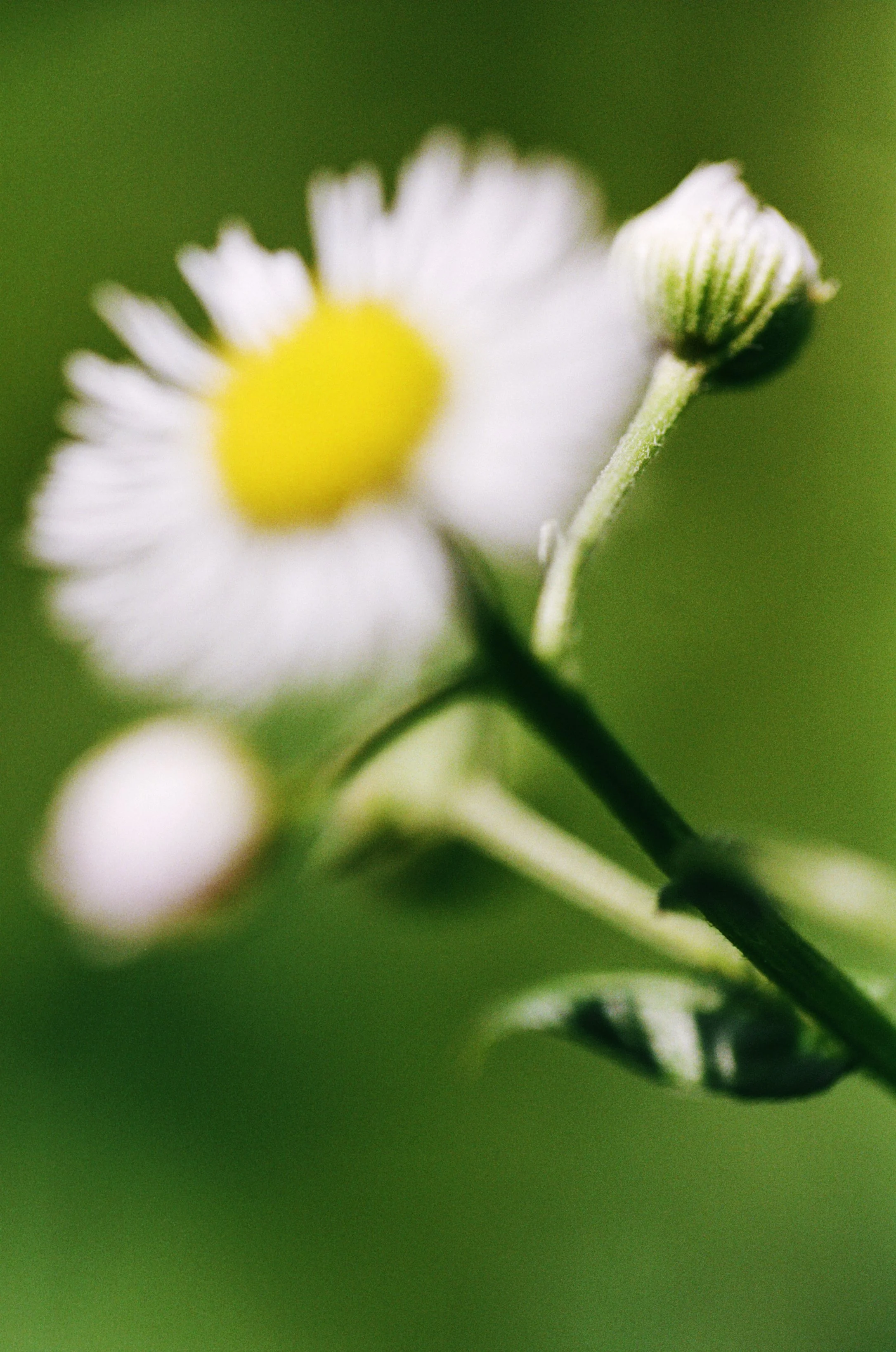 103033_JRA_001_16edit.jpg