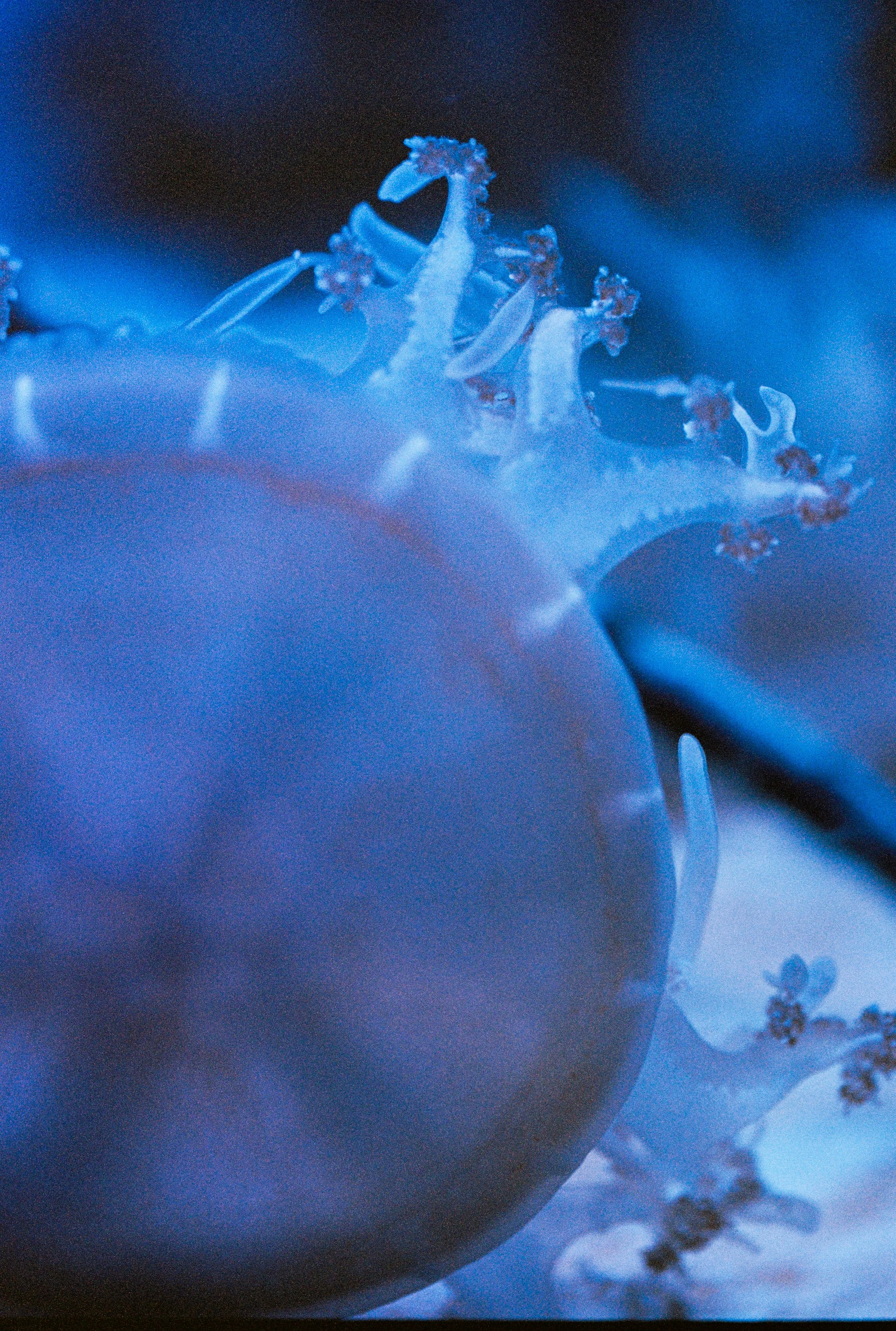 000037_aquarium-web.jpg