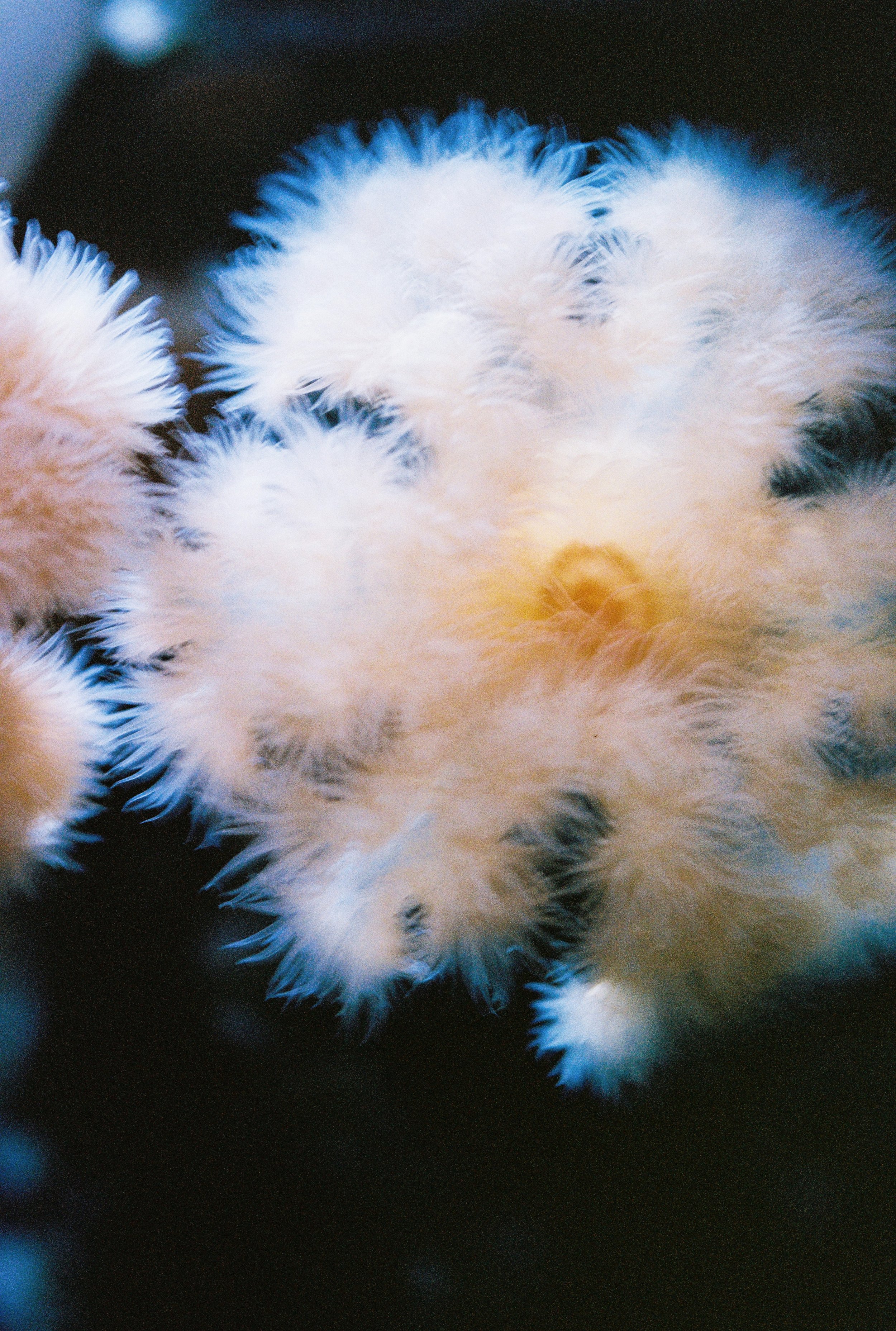 000028_aquarium3web.jpg