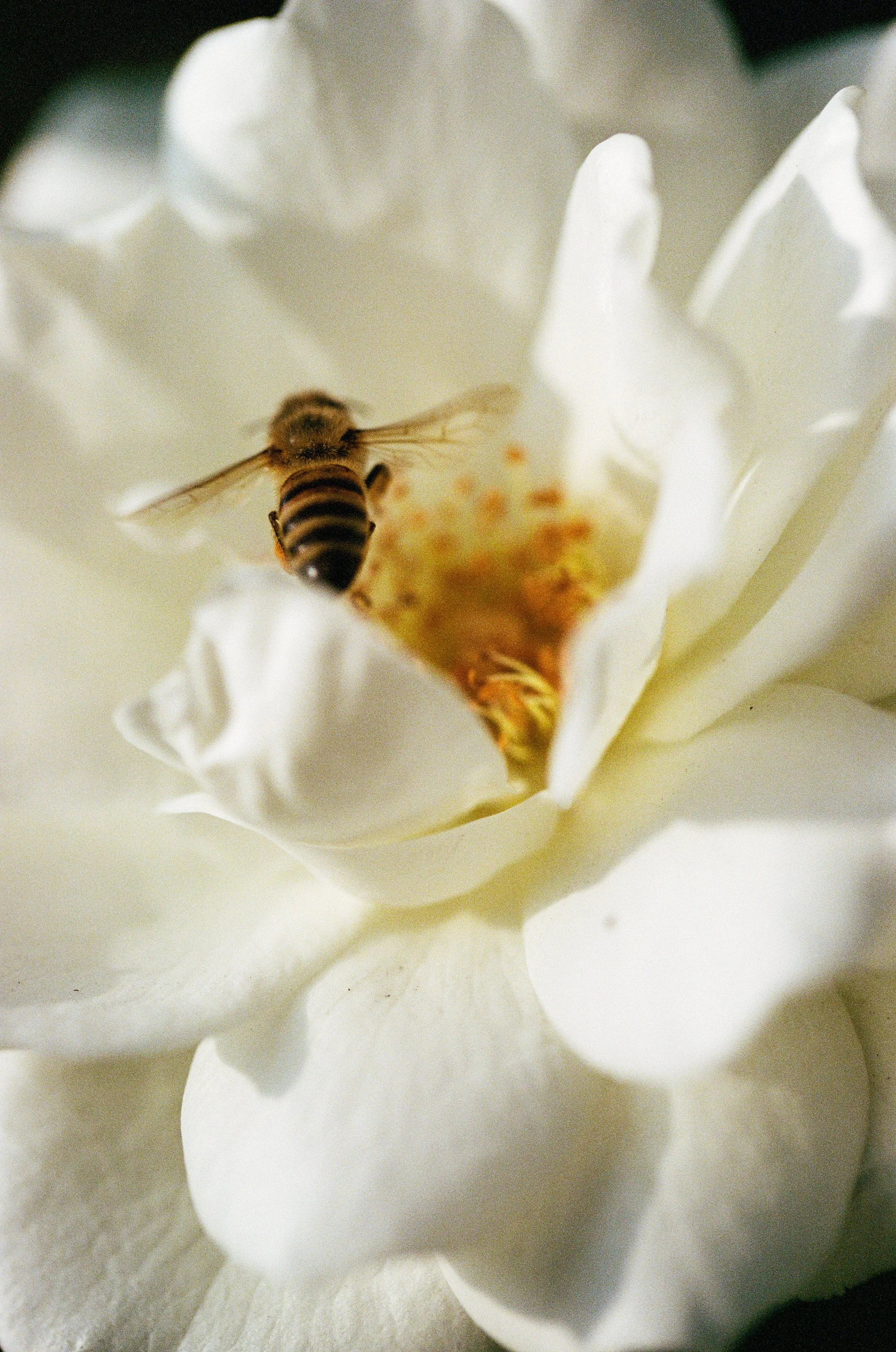 000220490022web1.jpg