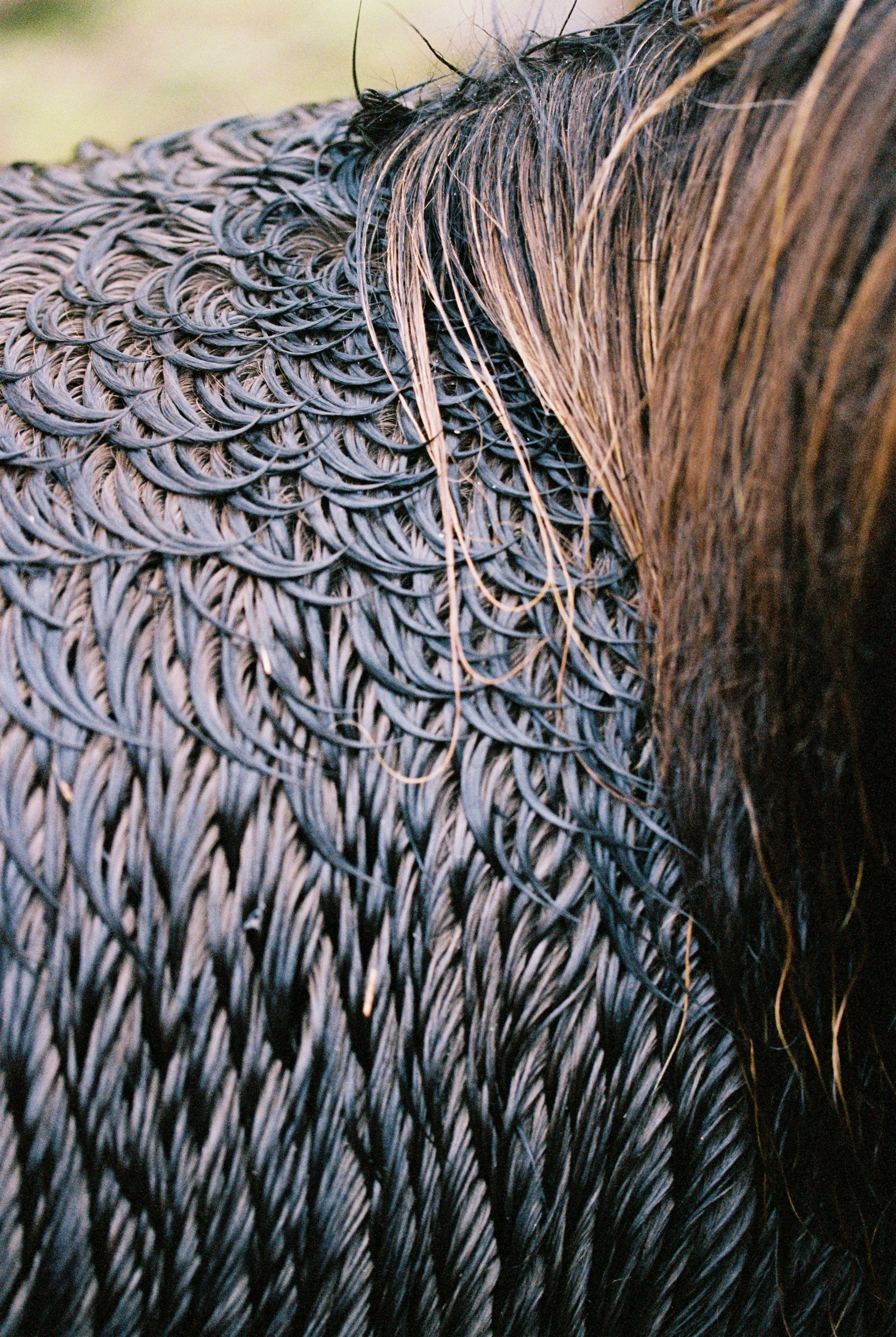 000042-1.jpg