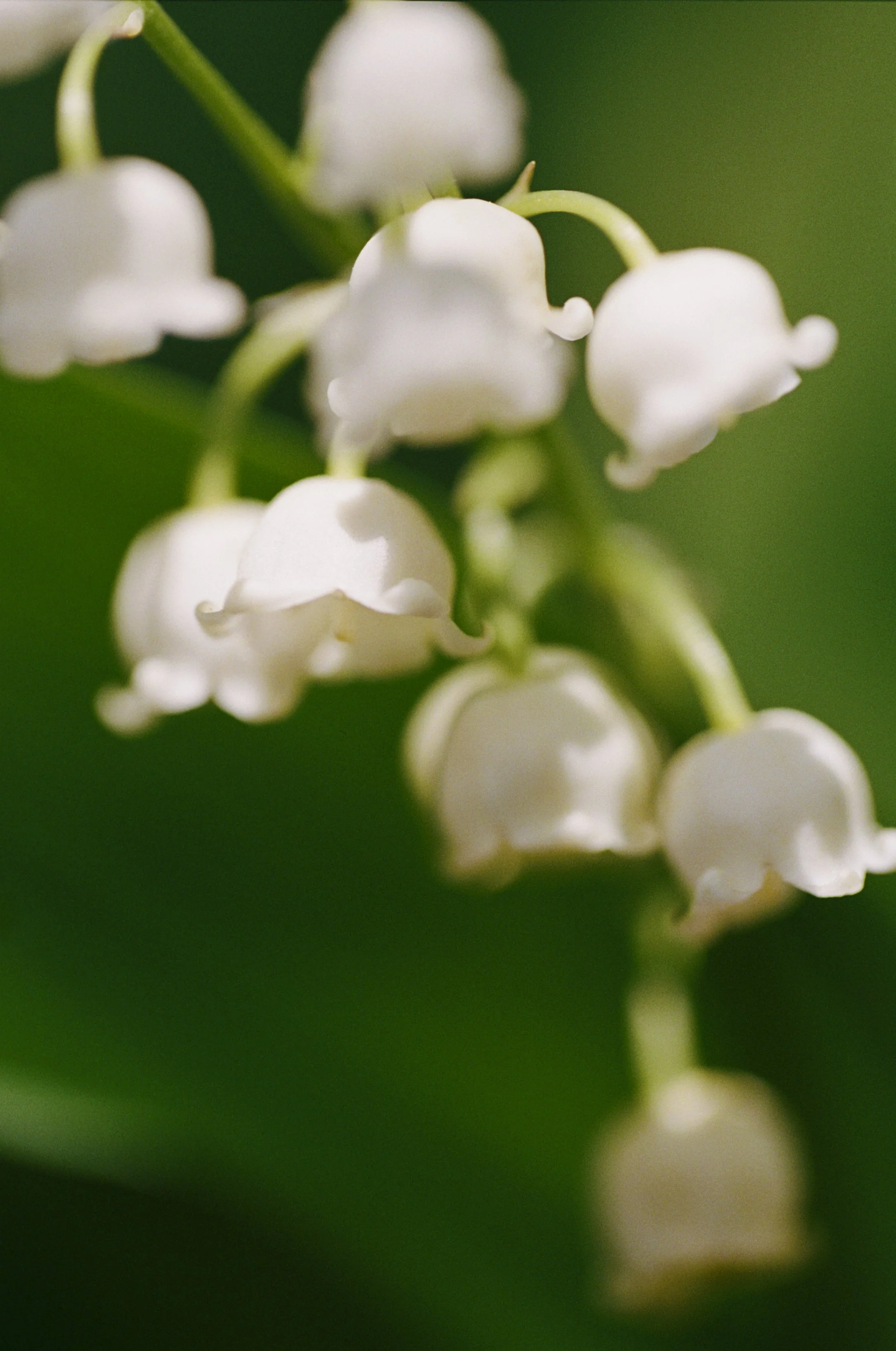 103033_JRA_001_10EDIT.jpg