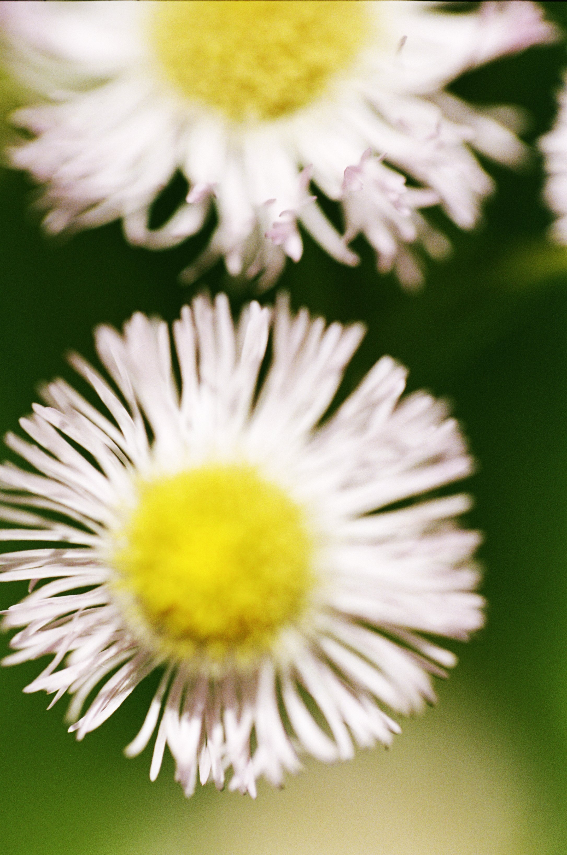 103033_JRA_001_18edit.jpg