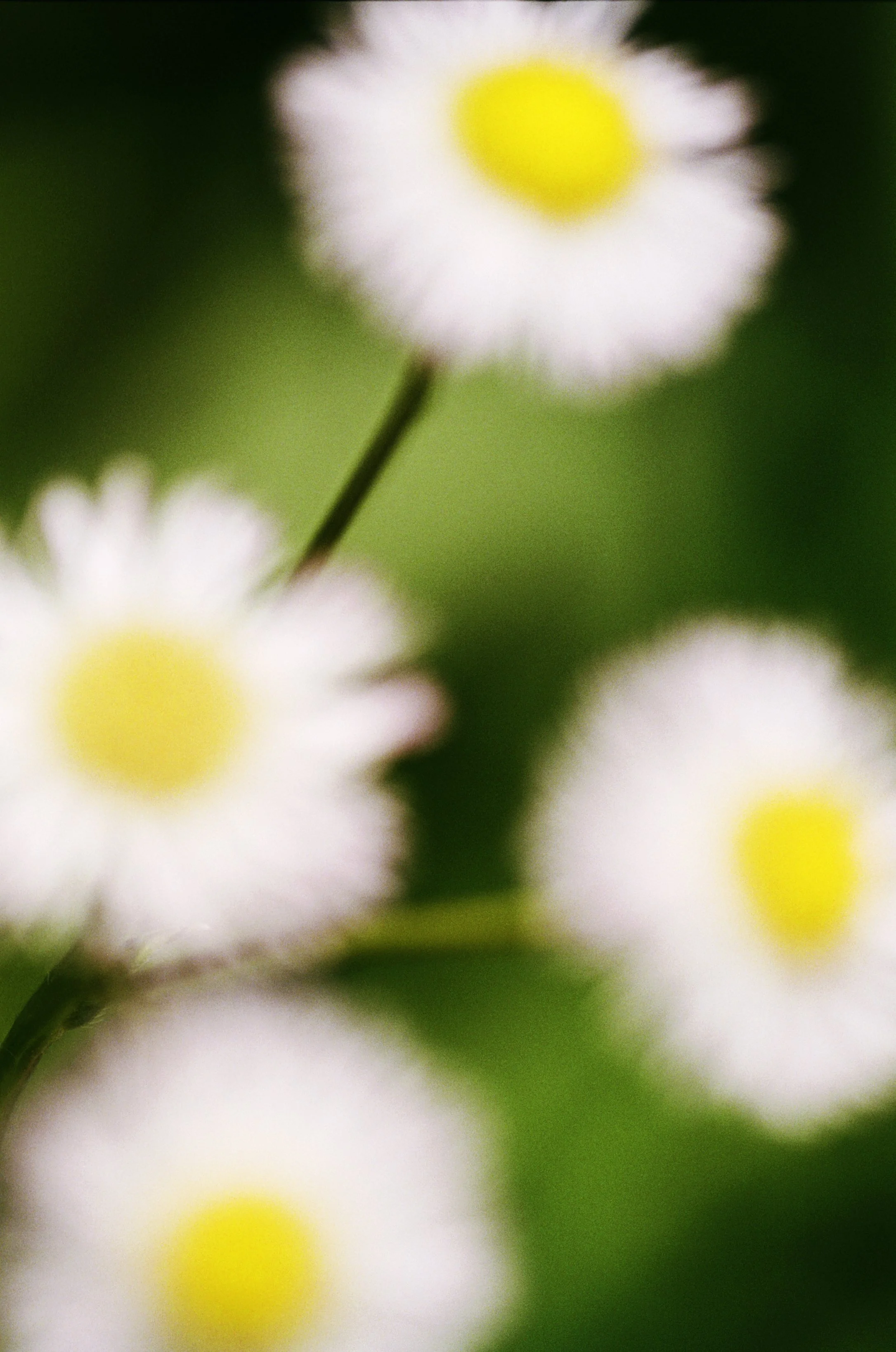 103033_JRA_001_17edit.jpg