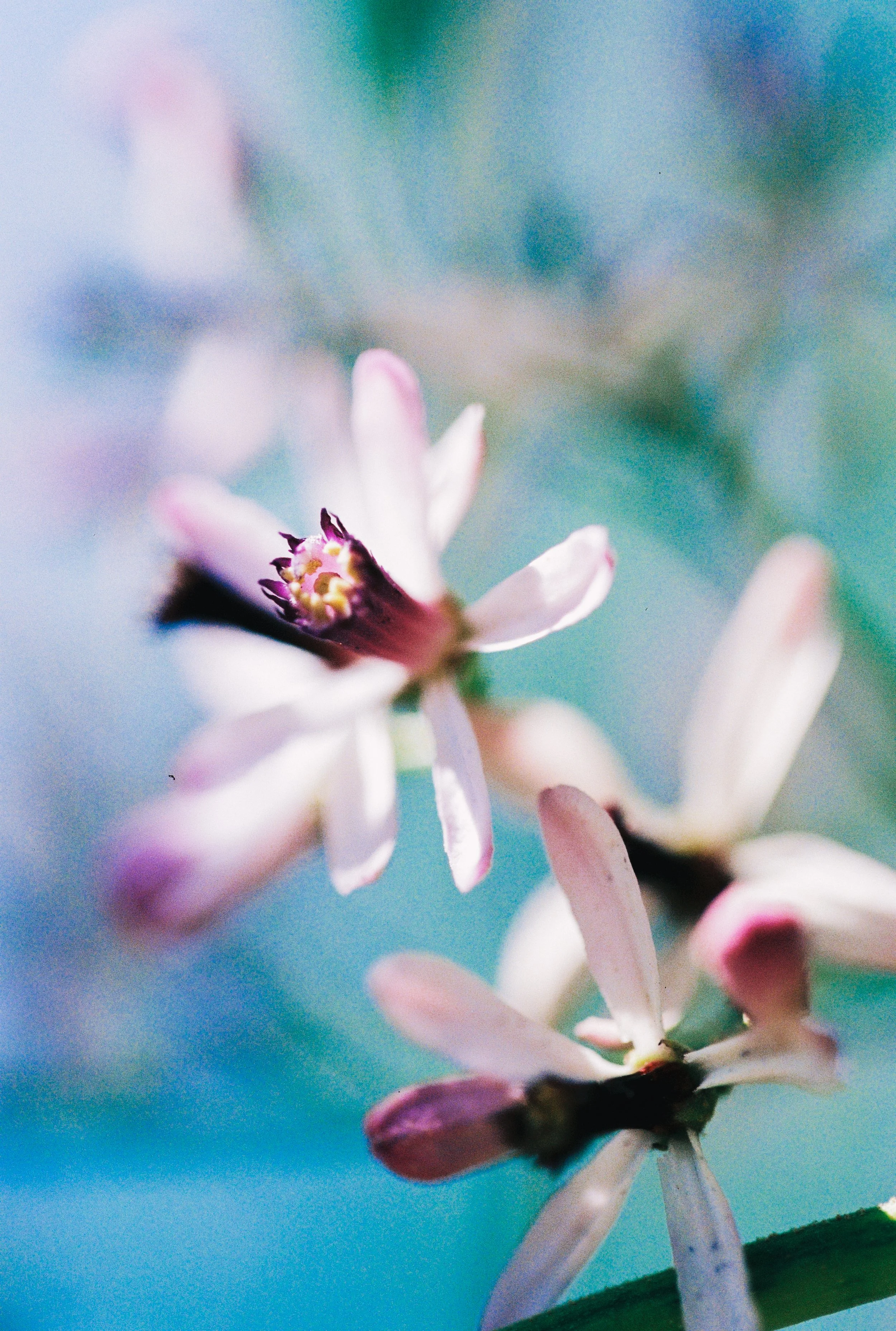 00421_000065.jpg