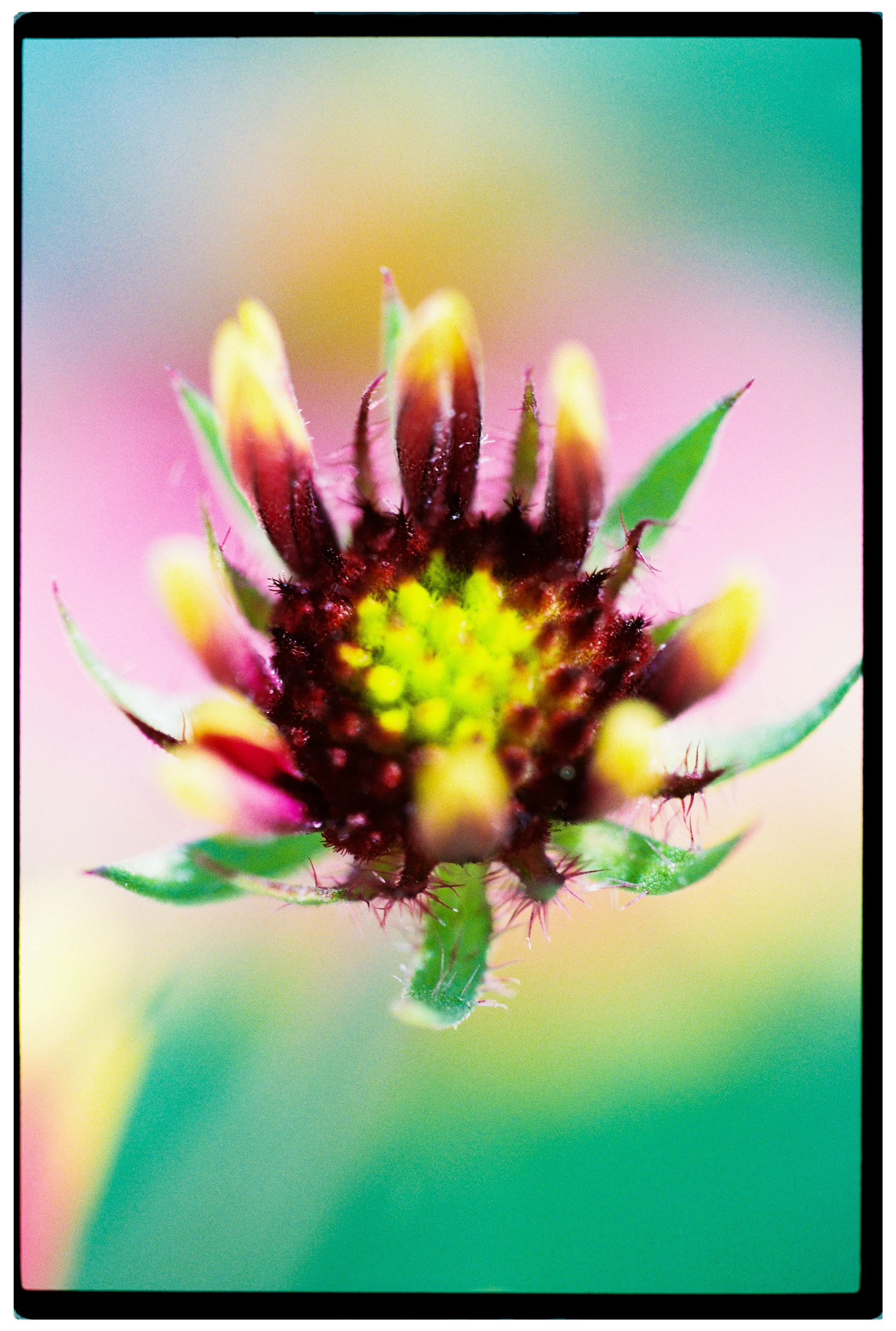 000051-edit copy.jpg