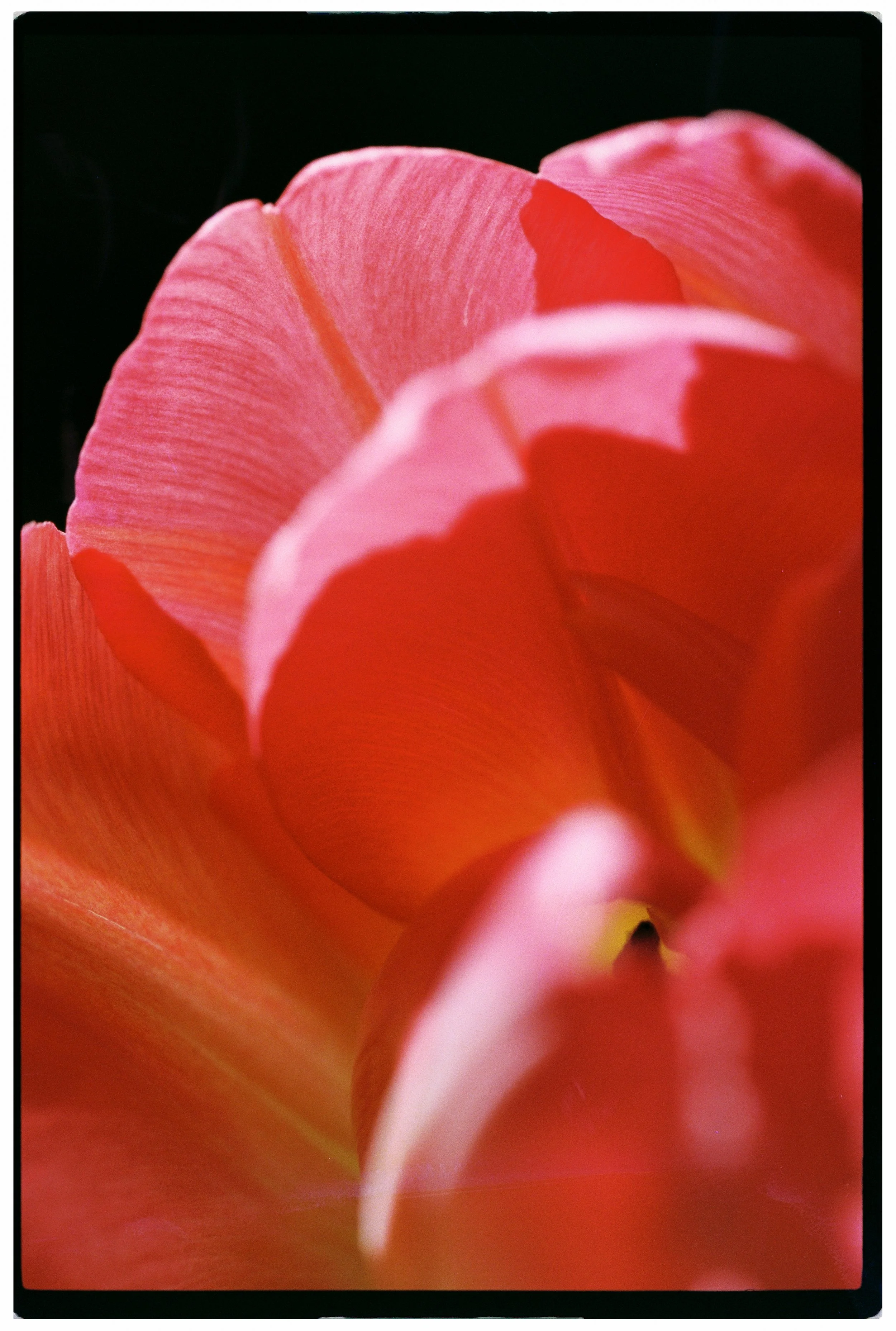 000068-edit.jpg