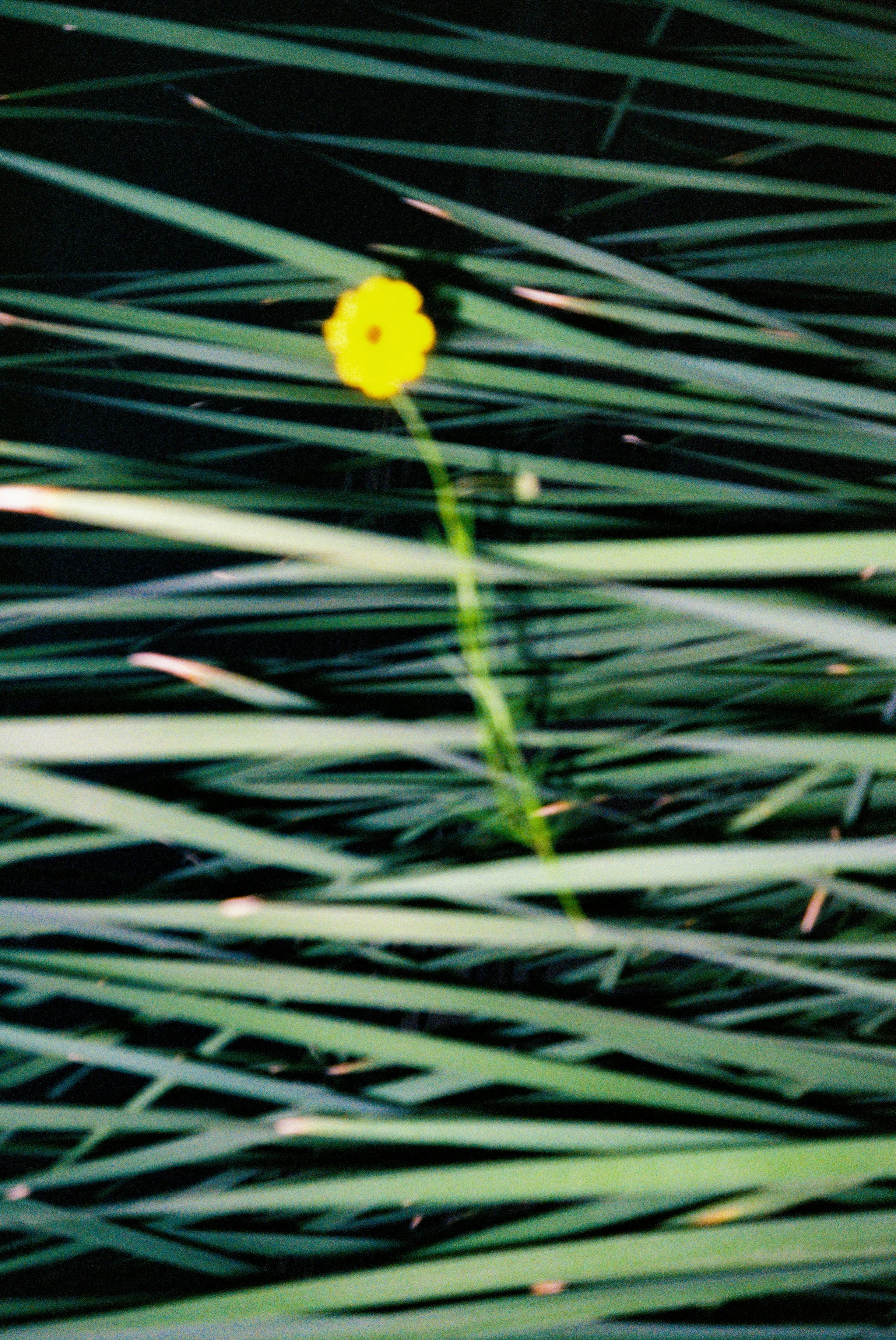 Rachid008670-R1-020 copy.jpg