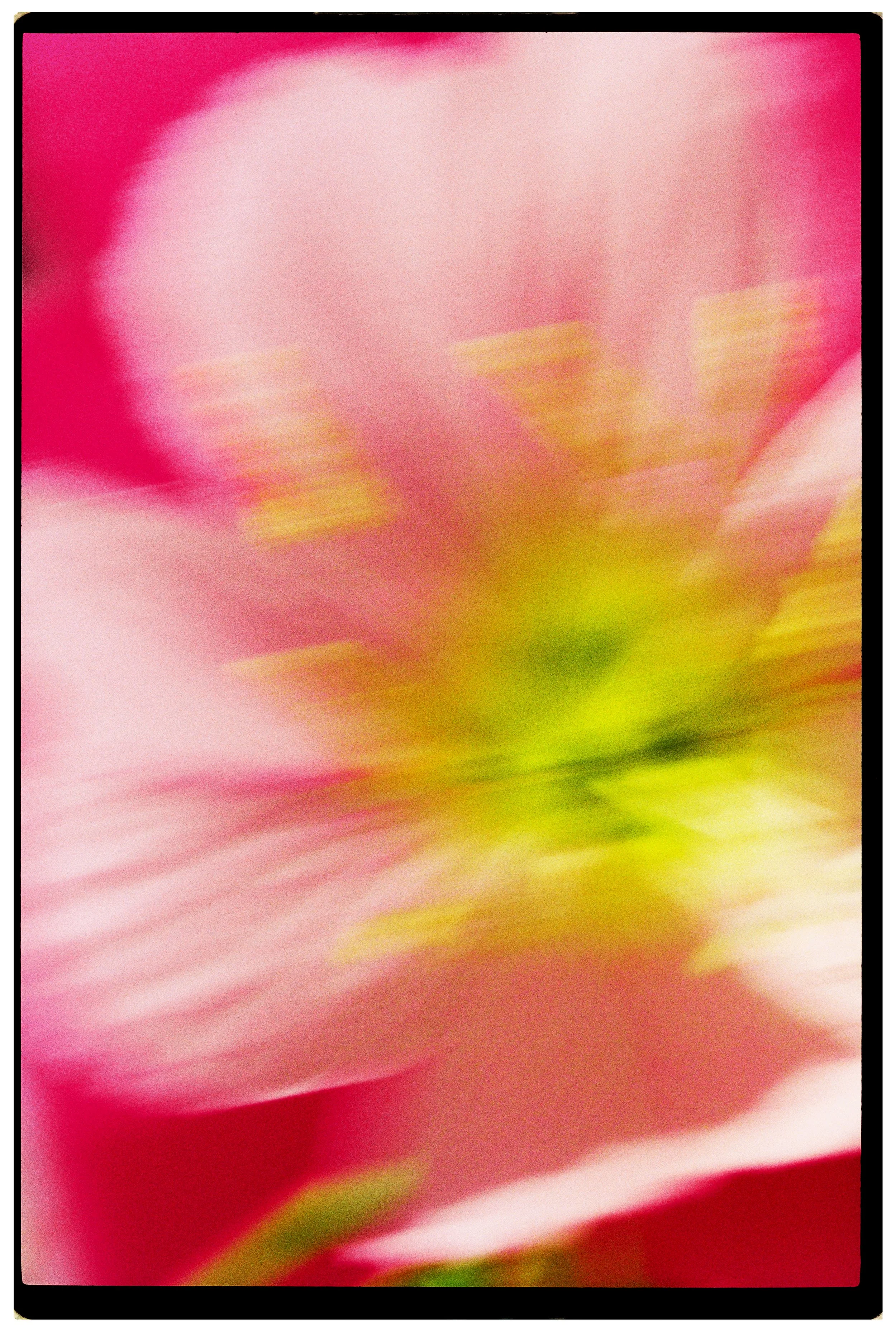 000052 2.JPG